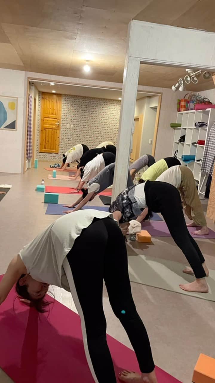 屬美於のインスタグラム：「@mioyoga_style   Mioyoga style 勝浦スタジオ　  #mioyoga style #mioyogastyle」