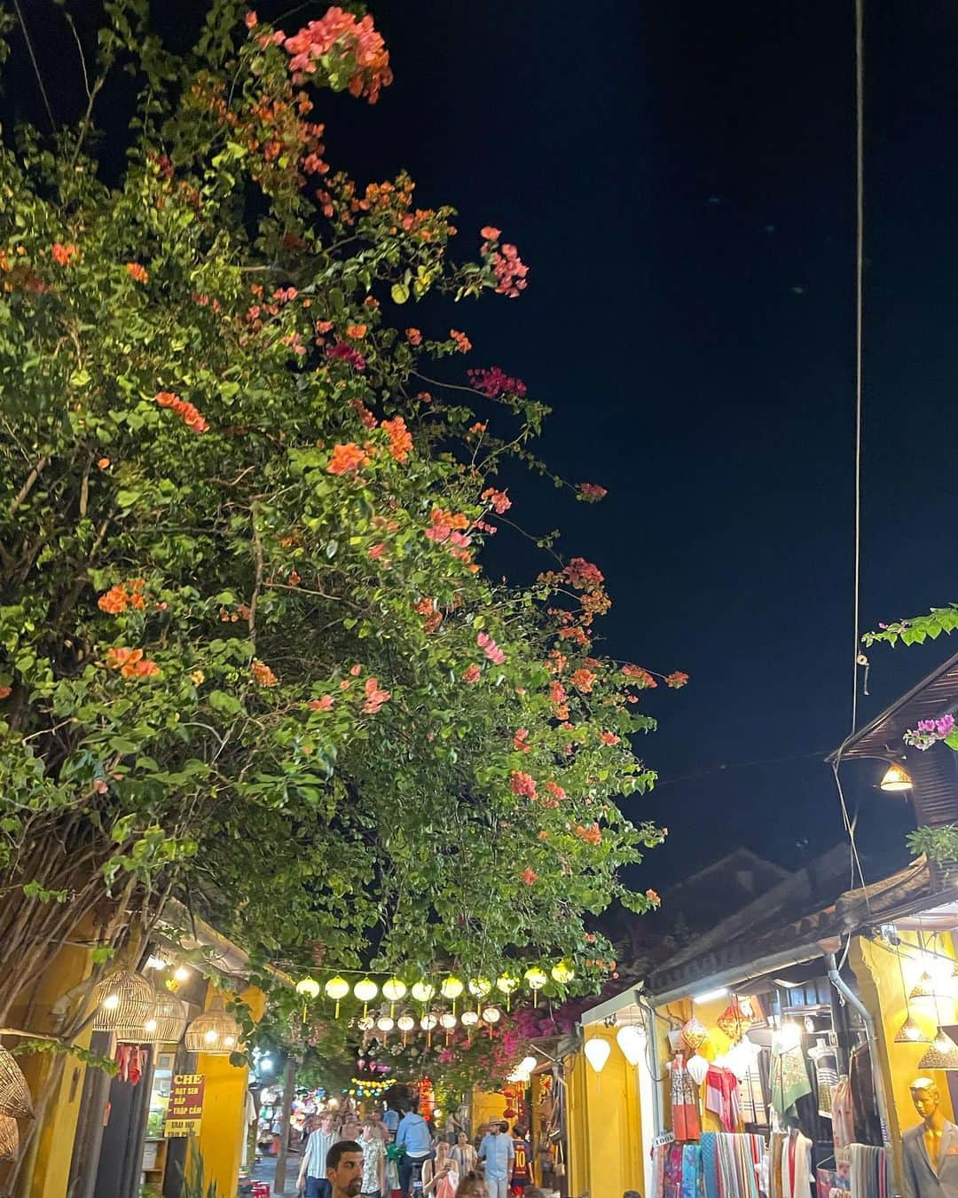 RUUNAさんのインスタグラム写真 - (RUUNAInstagram)「ホイアン旧市街地🇻🇳 ランタンとナイトマーケット🌙  #vietnam #hoian #lanthanum #night  #trip #hộian #việtnam #trip  #ベトナム #ホイアン #ベトナム旅行  #ランタン #ナイトマーケット」9月26日 9時53分 - ruuna_kolme