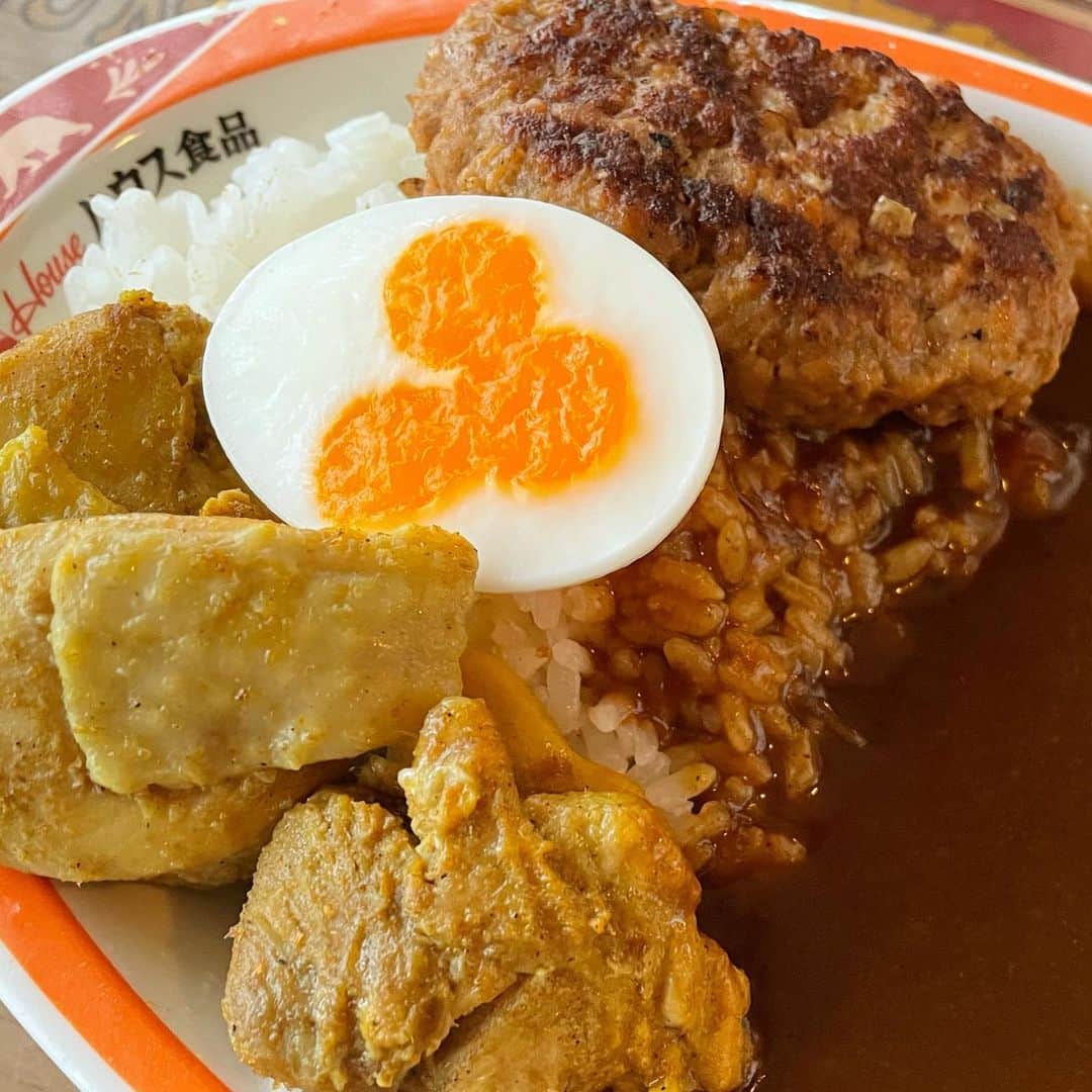 のインスタグラム：「夢の国のグルメ総集編🍴 ハロウィン限定のメニューもありハイテンションに💓振り返ったらめちゃくちゃ食べてました😂  1.2枚目 ハングリーベア・カレー ボリュームもあり美味しい！ パーク内でしっかりお米が食べられて嬉しい♡ チキンとハンバーグ、そしてミッキーたまごにメロメロ😍  3枚目 限定メニュー㊗️ ソフトクリーム(パンプキンミックス) パンプキンのこっくりした甘味が絶妙。実はコーン部分のクッキーも美味しい🤤  4.5.6枚目 グローブシェイプ・エッグチキンパオ&ミッキーマカロン(ダブルベリー)  今回一番驚いたのはこちら！ どちらも想像以上に超美味しかったです。 パオは、肉まんの皮のようなしっとり柔らかい生地にジューシィなチキンとたまごサラダが最高のハーモニー。チキンの竜田揚げが本当にジューシーで感動でした。  マカロンは、クリームがベリー味で美味しくて固めでしっかり食べ応えがあるので、普通のマカロン3つ分くらいの満足感👏🏻💕  7枚目 限定メニュー㊗️ チュロス(メイプルパンプキン) パンプキンの甘味をメイプルが寄り添って美味しい〜。温かいチュロスのカリふわ感が最高！  8枚目 限定メニュー㊗️ パンプキンミルク(タピオカ入り) 歩き疲れた時のおやつに💕 甘味にタピオカがいい感じで、ミルクが優しく包み込んでくれる〜  9枚目 ビール！ビール！ビール！ まさかランドでビールを呑める日が来るなんて♡幸せをかみしめました〜  #グルメ　#スイーツ #カレー　#ソフトクリーム  #マカロン　#チュロス #タピオカ　#ビール #夢の国 #gourmet #sweets #curry  #disney」