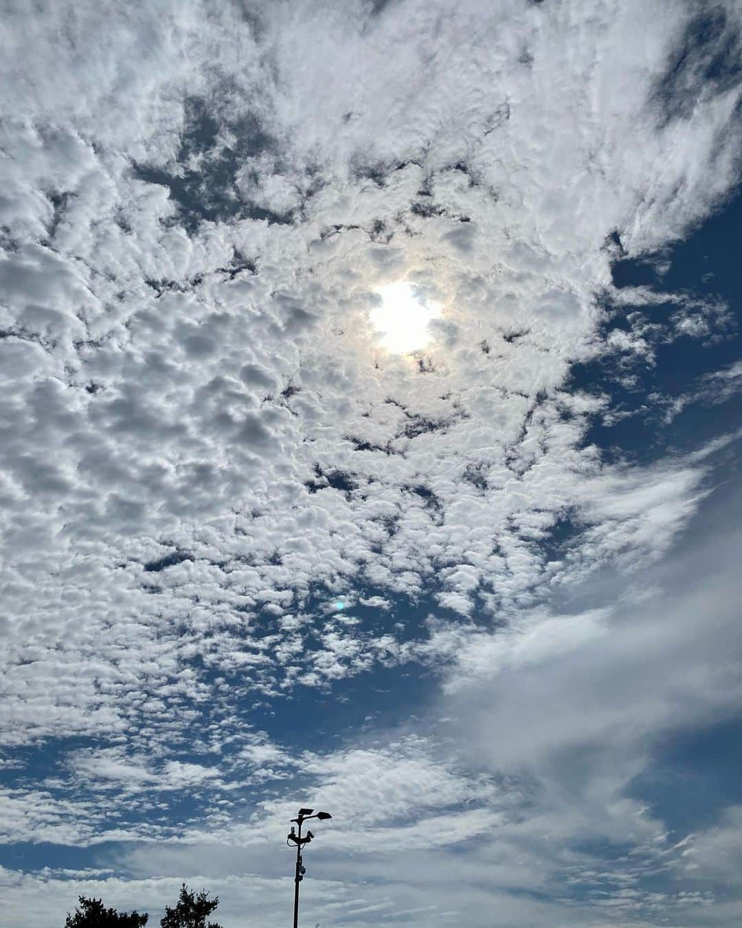 佐伯紅緒さんのインスタグラム写真 - (佐伯紅緒Instagram)「叔父のお墓に報告すべく弾丸で北上中。 サービスエリア、すごい雲です。」9月26日 11時04分 - beniosaeki