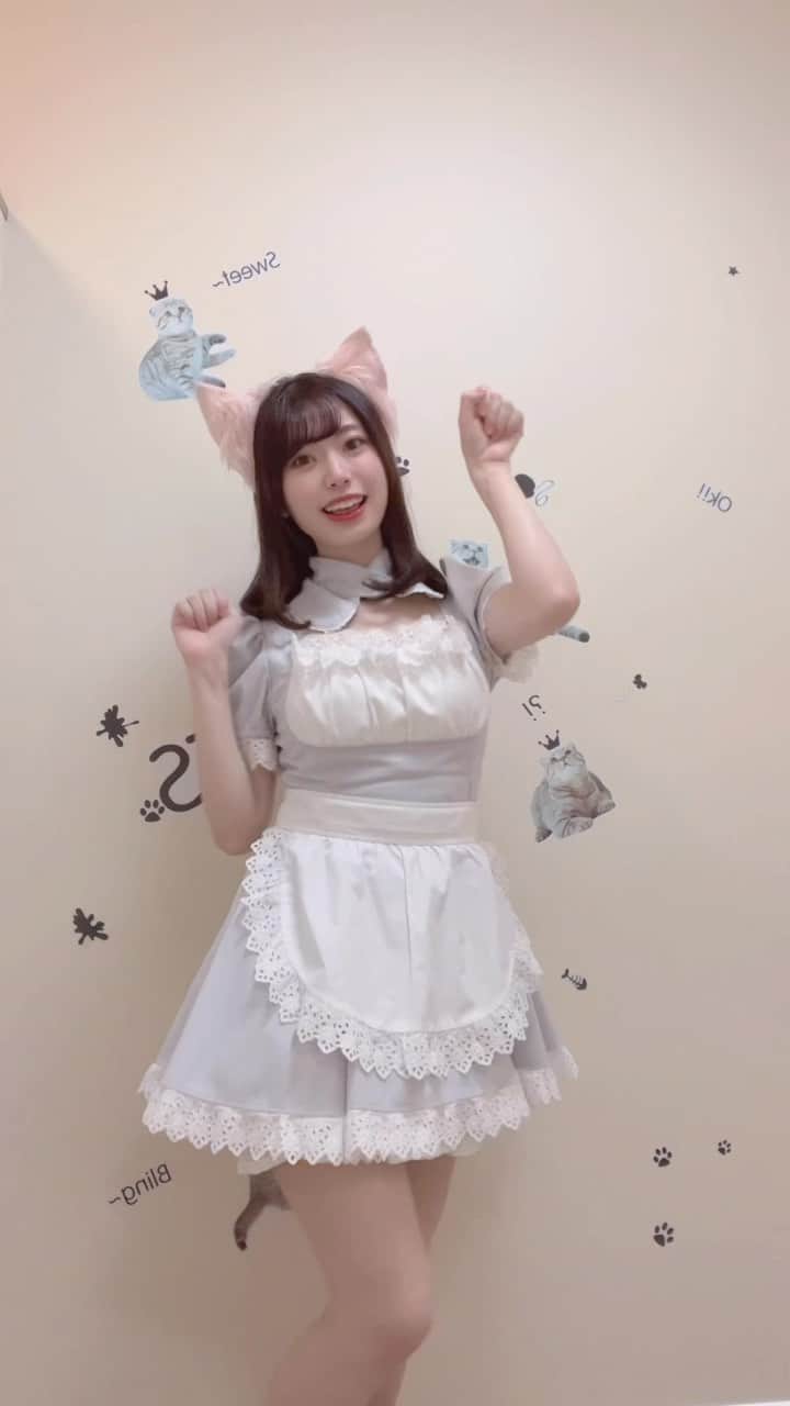 星名あゆみのインスタグラム：「1日限定メイドさんになりました〜🐈❤️  #メイド服 #メイド #猫カフェ #akihabara」