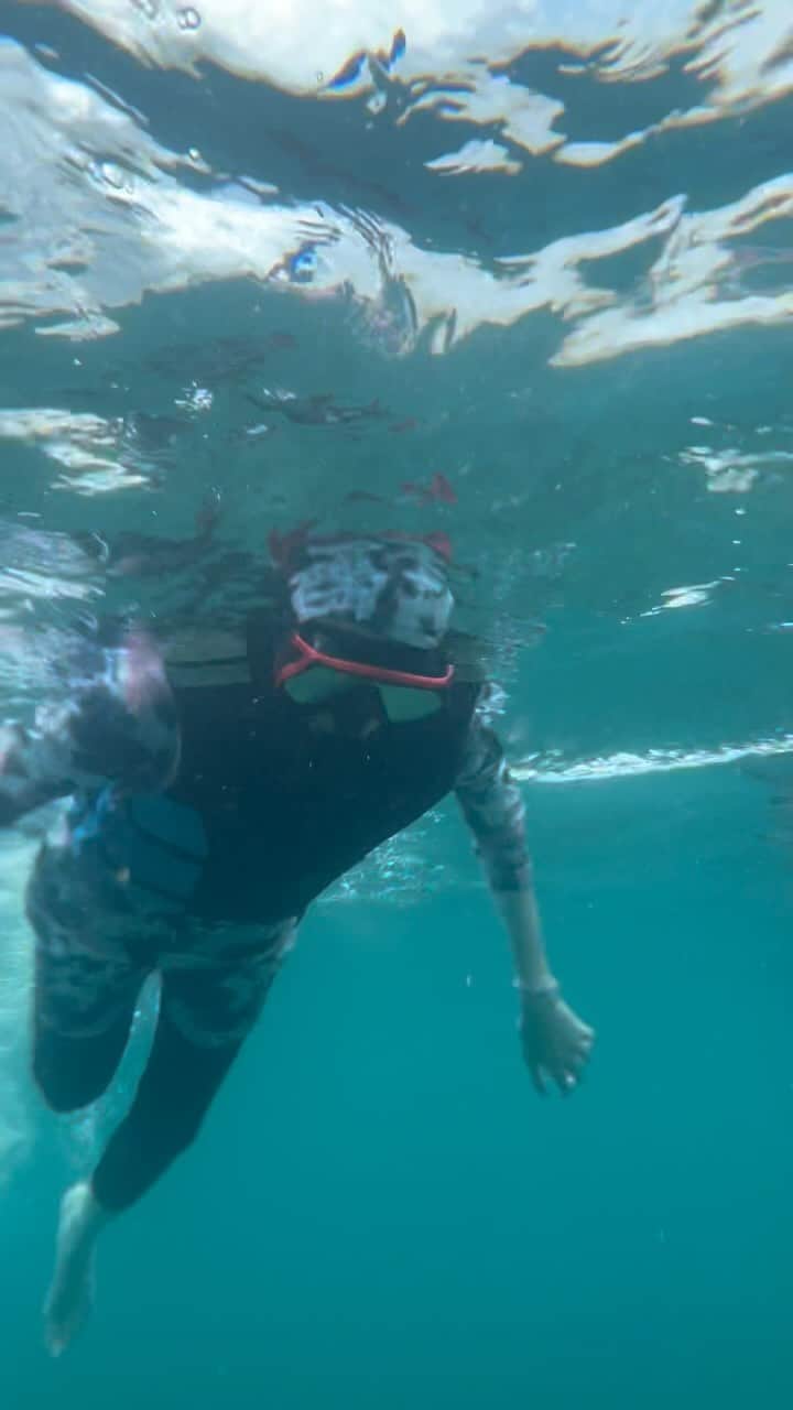 ドゥイ・プトゥリ・ボニタのインスタグラム：「Emang boleh se-snorkeling ini?」
