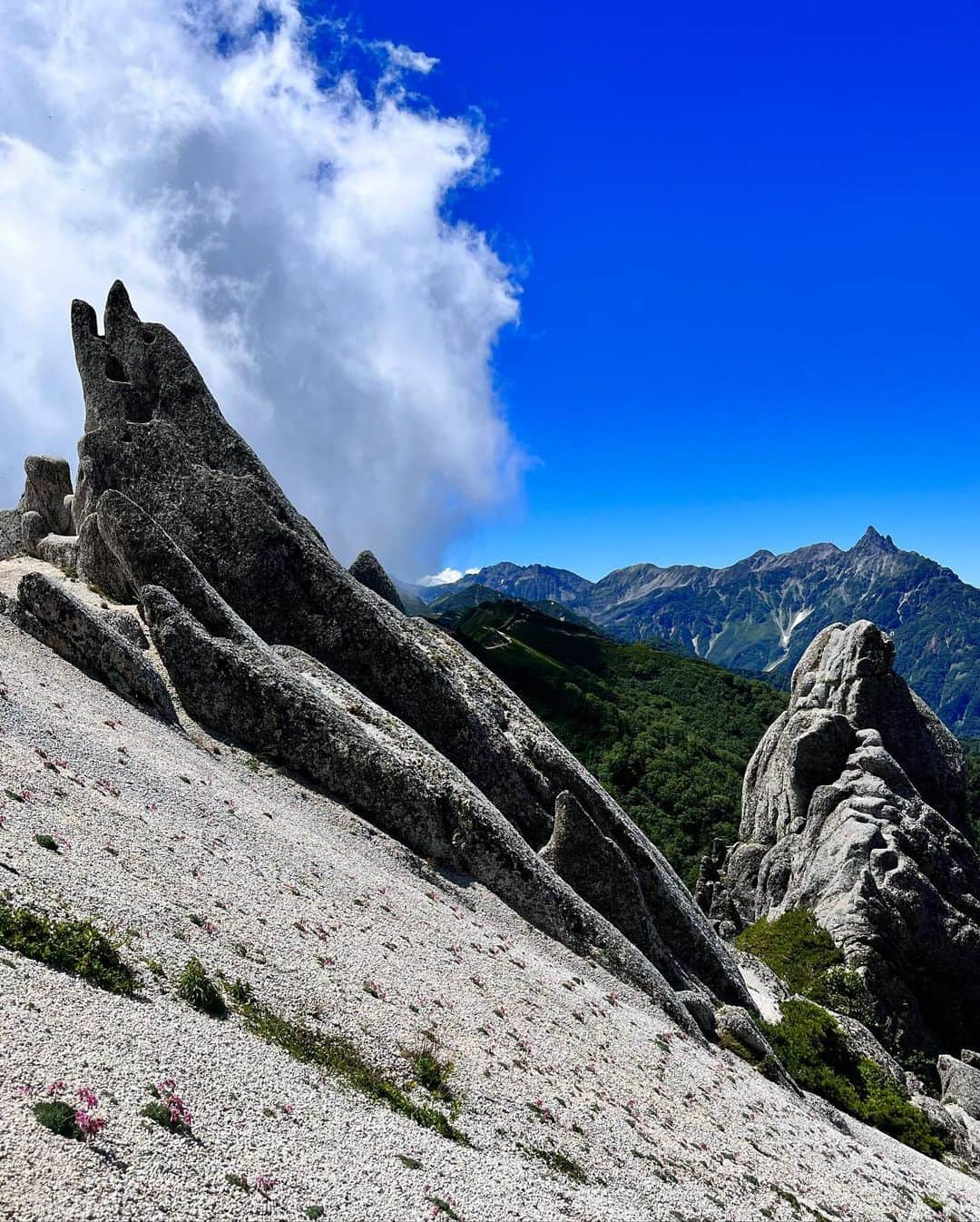 土屋香織さんのインスタグラム写真 - (土屋香織Instagram)「⛰️燕岳 ◭𖧨◭𖤕..*  憧れのイルカちゃんに会えて感激🥺💗 こまくさを守るため周りにはロープが張られています🧵 メガネ岩も発見👓 ゴリラ岩がわからなかった🦍🤔 . 西穂高も楽しかったけどここは本当美しくて登りやすくて最高❣️ 絶対また来たい☺️✨ . 燕山荘の裏に #トウヤクリンドウ も咲いてました✧︎*。 山荘の人が花の名前教えてくれた☺️ . 行きは全然キツくなくて一度も早く終われって思わなかったのに、下りで北アルプスの急登を感じました😇 最後はもうピヨピヨ🐣キツかった…笑 . . . #燕岳 #燕岳登山 #イルカ岩 #イルカ岩と槍ヶ岳 #メガネ岩 #コマクサ #高山植物 #絶景 #東京女子部 #retrip_nippon #beautifuldestinations #yamahack #登山 #登山女子 #かおvoyage #北アルプス #北アルプスの急登 #山 #山ガール #北アルプスと安曇野の風景」9月26日 21時19分 - kaorintsuchiya