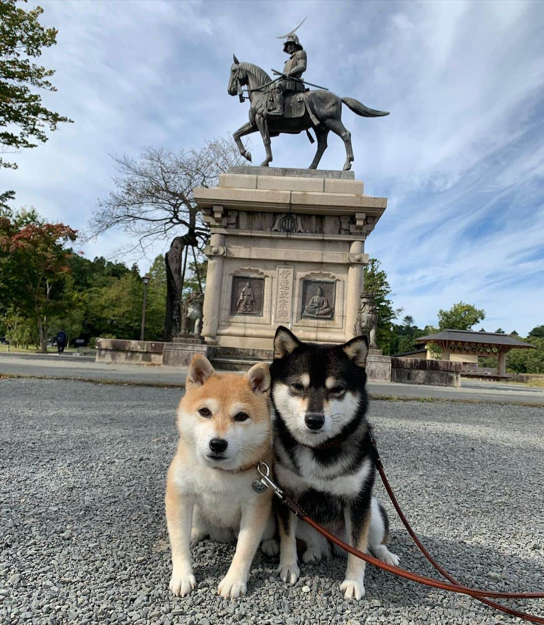 豆柴なつ&ふゆのインスタグラム：「Miyagi😆⭐️ 過去pic😊  #来月も東北旅行  #伊達政宗像 #宮城県 #miyagi    #trip  #犬連れ旅行　#旅行 #ワンコと旅行  #shibaaddict #柴 #しばいぬ #シバフル #わんダフォ #shibamania  #柴犬ライフ #shiba_snap  #instashiba#cutedogs  #柴犬#shiba #shibainu #shibastagram #いぬすたぐらむ #pecoいぬ部 #shibainumag_feature #dogoftheday  #🐕📷 #theshibasociety  #proudshibas」