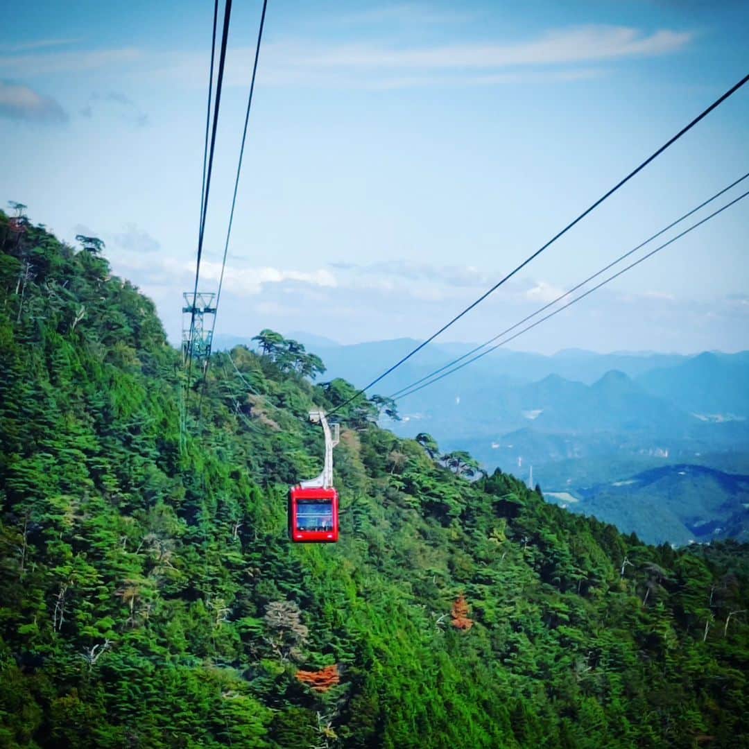 のインスタグラム：「◆この土日で  篠山〜三田〜有馬〜六甲山〜神戸港〜南京町行ってきました。(近所は逆に新鮮)  どーでもエエ話やけど無機質に流れを書くと、篠山の酒蔵で試飲して、三田で椎茸狩り＆バーベQして、フルーツフラワーパークでモンキーショー観て、有馬温泉浸かって、宴会で手品観て、二次会で唄って、食い過ぎ呑み過ぎて、他人のイビキでKOされて、翌朝ご飯食べ過ぎて、六甲ロープウェイ乗って六甲ガーデンテラスから神戸〜大阪の街を一望して、海まで降りてクルージング乗って、南京町で昼食とってまた呑んでって感じでしたよ。  オールスマホ撮影 .」