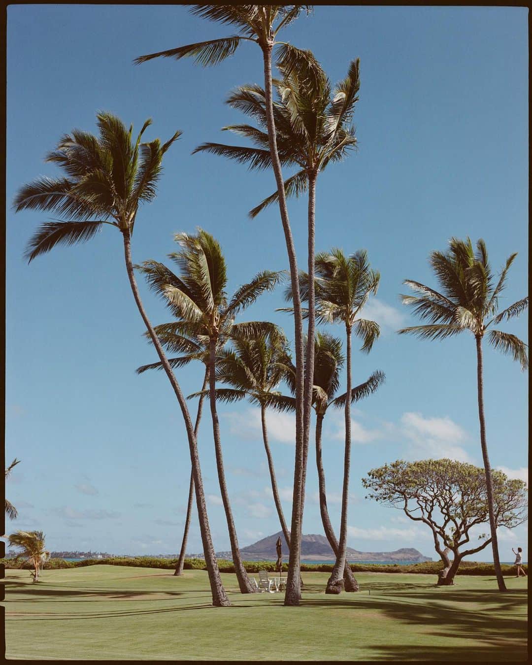 ベン・ワッツさんのインスタグラム写真 - (ベン・ワッツInstagram)「Film 🎞️ Bts from @tbahama x @haileyclauson in Hawaii #bts #oahu #benwatts #pentax67 #kodak」9月26日 21時50分 - wattsupphoto