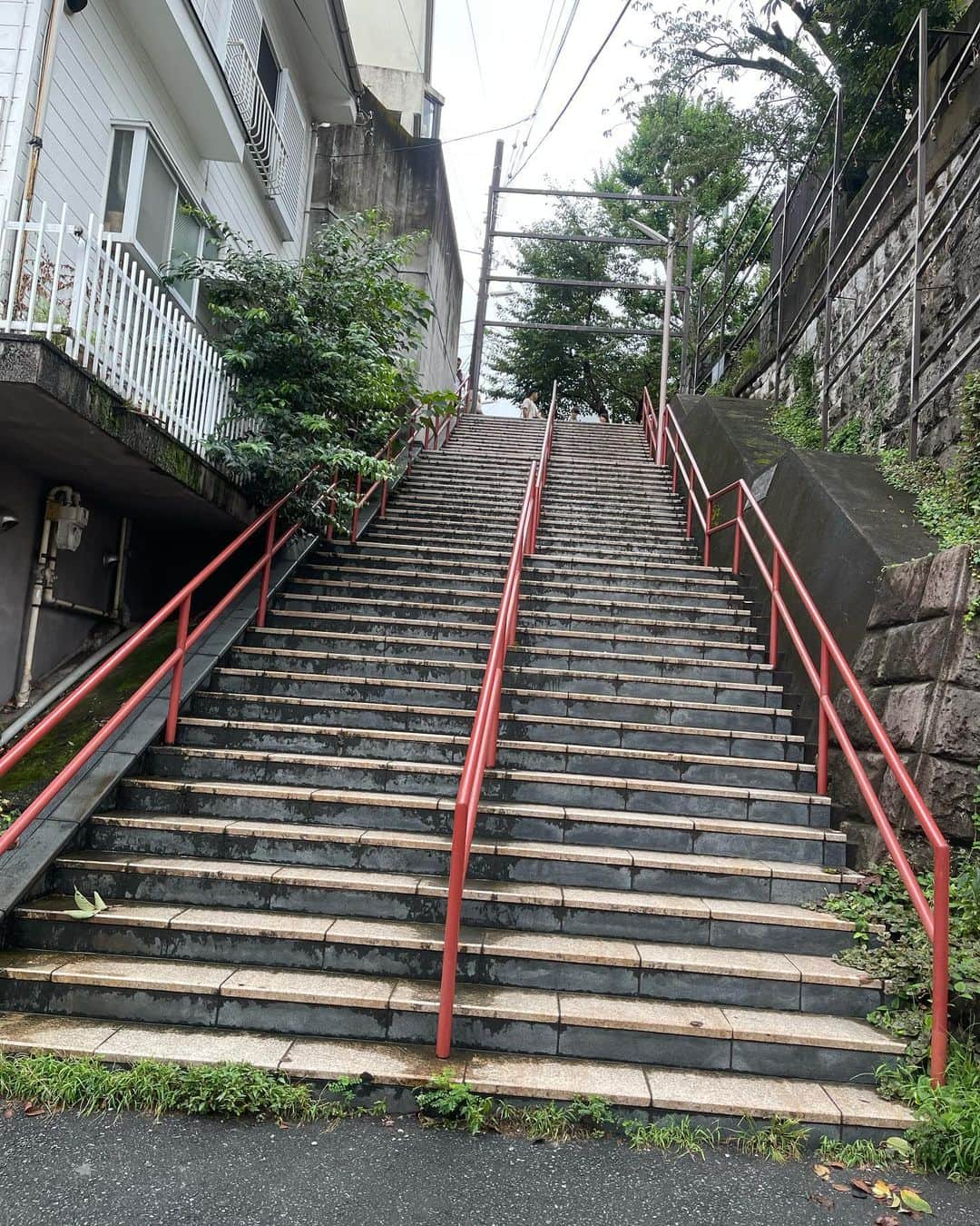 植田麻友美さんのインスタグラム写真 - (植田麻友美Instagram)「君の名はで有名な  須賀神社さん⛩  御祭神は  須佐之男命（須賀大神）と宇迦能御魂神（稲荷大神） ⭐  稲荷大神は 五穀豊穣・開運招福・商売繁盛の神様として 須賀大神は 暦神として、土木建築・悪霊退散・諸難・疫病除けの神として  古くより庶民の信仰を集めてきたみたい🍀  住宅街の中にある神社さんで⛩ 静かでとても気持ちのいい⛩でした❤️ 絵馬も可愛くて とっても素敵でした✨  そして 君の名は☄️での聖地みたいで ファンの方も階段を嬉しそうに写真撮ったり 眺めてたなぁ🍀 君の名はが好きな方は是非参拝を🌸  そして良い御縁をむすんでもらいましょう❤️ #須賀神社  #須賀神社の階段  #君の名は  #神社巡り」9月26日 13時56分 - ue_mayutaro