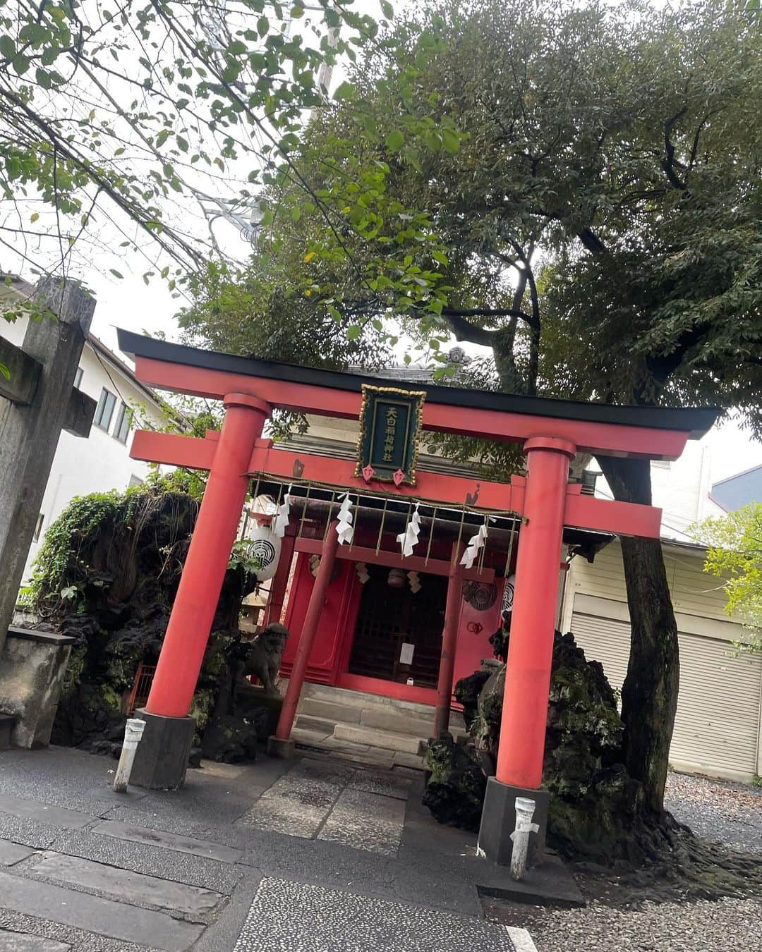 植田麻友美さんのインスタグラム写真 - (植田麻友美Instagram)「君の名はで有名な  須賀神社さん⛩  御祭神は  須佐之男命（須賀大神）と宇迦能御魂神（稲荷大神） ⭐  稲荷大神は 五穀豊穣・開運招福・商売繁盛の神様として 須賀大神は 暦神として、土木建築・悪霊退散・諸難・疫病除けの神として  古くより庶民の信仰を集めてきたみたい🍀  住宅街の中にある神社さんで⛩ 静かでとても気持ちのいい⛩でした❤️ 絵馬も可愛くて とっても素敵でした✨  そして 君の名は☄️での聖地みたいで ファンの方も階段を嬉しそうに写真撮ったり 眺めてたなぁ🍀 君の名はが好きな方は是非参拝を🌸  そして良い御縁をむすんでもらいましょう❤️ #須賀神社  #須賀神社の階段  #君の名は  #神社巡り」9月26日 13時56分 - ue_mayutaro