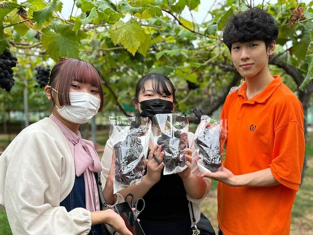 赤堀製菓専門学校さんのインスタグラム写真 - (赤堀製菓専門学校Instagram)「食材研修1日目❕ パティシエ科2年生、群馬県の 「原田農園」にお邪魔してぶどう狩りをしました！   自分たちで収穫することで、パティシエとして畑からお客様までの繋がりを意識することができました！  とったぶどうは明日の実習で使用します‪👍🏻 ̖́-‬  #赤堀製菓専門学校 #パティシエ #パティシエ科 #パティシエ実践科 #専門学校 #進路 #お菓子作り #専門学生 #製菓実習 #製菓専門学校 #専門学生の日常#プロを目指す #製菓 #将来の夢 #パティシエの卵 #お菓子作り好きな人と繋がりたい #スイーツ好きな人と繋がりたい#楽しい学校 #製菓学生 #お菓子作り記録 #ケーキ屋さん #パティシエカメラ部 #スイーツ作り #ウェディングケーキ #食材研修 #ぶどう #農園 #藤稔」9月26日 17時14分 - akahoriseika