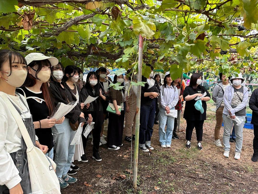 赤堀製菓専門学校さんのインスタグラム写真 - (赤堀製菓専門学校Instagram)「食材研修1日目❕ パティシエ科2年生、群馬県の 「原田農園」にお邪魔してぶどう狩りをしました！   自分たちで収穫することで、パティシエとして畑からお客様までの繋がりを意識することができました！  とったぶどうは明日の実習で使用します‪👍🏻 ̖́-‬  #赤堀製菓専門学校 #パティシエ #パティシエ科 #パティシエ実践科 #専門学校 #進路 #お菓子作り #専門学生 #製菓実習 #製菓専門学校 #専門学生の日常#プロを目指す #製菓 #将来の夢 #パティシエの卵 #お菓子作り好きな人と繋がりたい #スイーツ好きな人と繋がりたい#楽しい学校 #製菓学生 #お菓子作り記録 #ケーキ屋さん #パティシエカメラ部 #スイーツ作り #ウェディングケーキ #食材研修 #ぶどう #農園 #藤稔」9月26日 17時14分 - akahoriseika