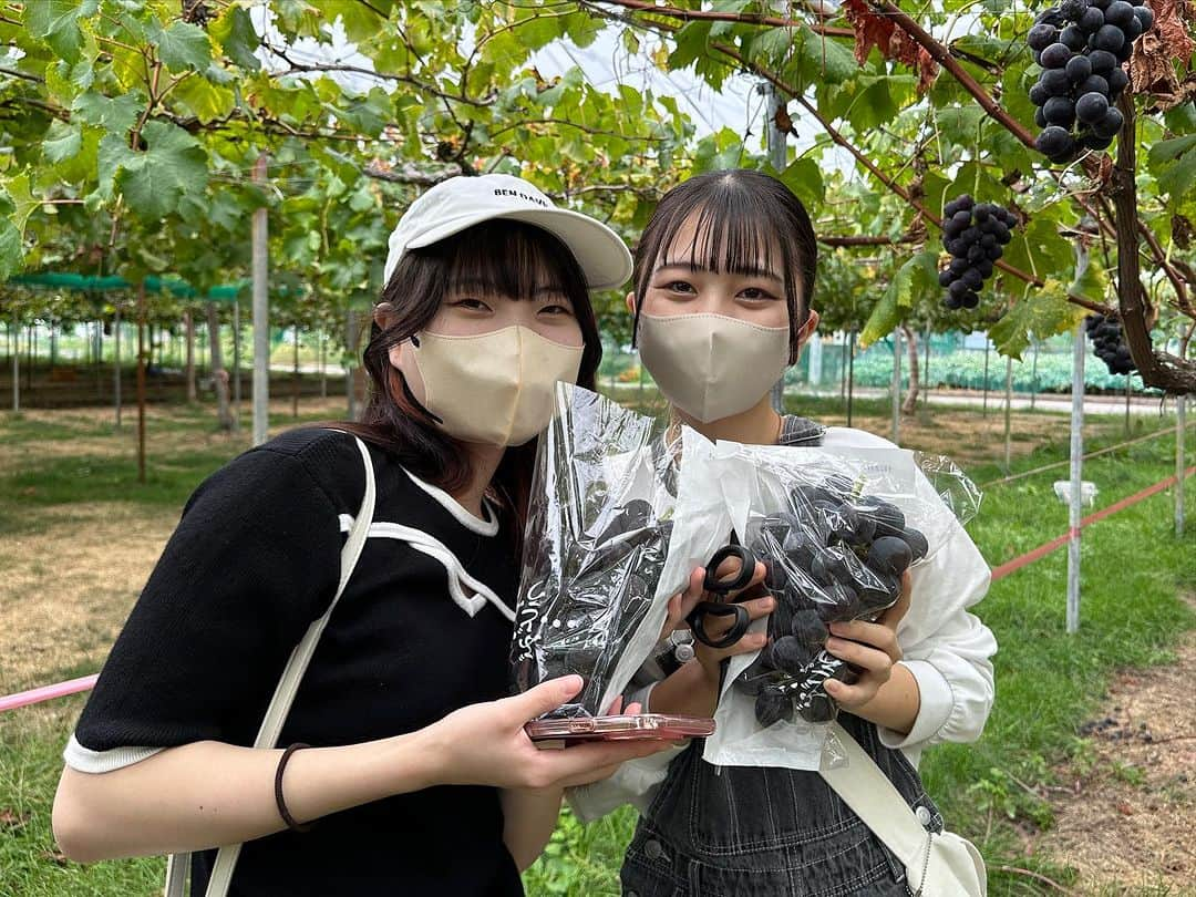 赤堀製菓専門学校さんのインスタグラム写真 - (赤堀製菓専門学校Instagram)「食材研修1日目❕ パティシエ科2年生、群馬県の 「原田農園」にお邪魔してぶどう狩りをしました！   自分たちで収穫することで、パティシエとして畑からお客様までの繋がりを意識することができました！  とったぶどうは明日の実習で使用します‪👍🏻 ̖́-‬  #赤堀製菓専門学校 #パティシエ #パティシエ科 #パティシエ実践科 #専門学校 #進路 #お菓子作り #専門学生 #製菓実習 #製菓専門学校 #専門学生の日常#プロを目指す #製菓 #将来の夢 #パティシエの卵 #お菓子作り好きな人と繋がりたい #スイーツ好きな人と繋がりたい#楽しい学校 #製菓学生 #お菓子作り記録 #ケーキ屋さん #パティシエカメラ部 #スイーツ作り #ウェディングケーキ #食材研修 #ぶどう #農園 #藤稔」9月26日 17時14分 - akahoriseika