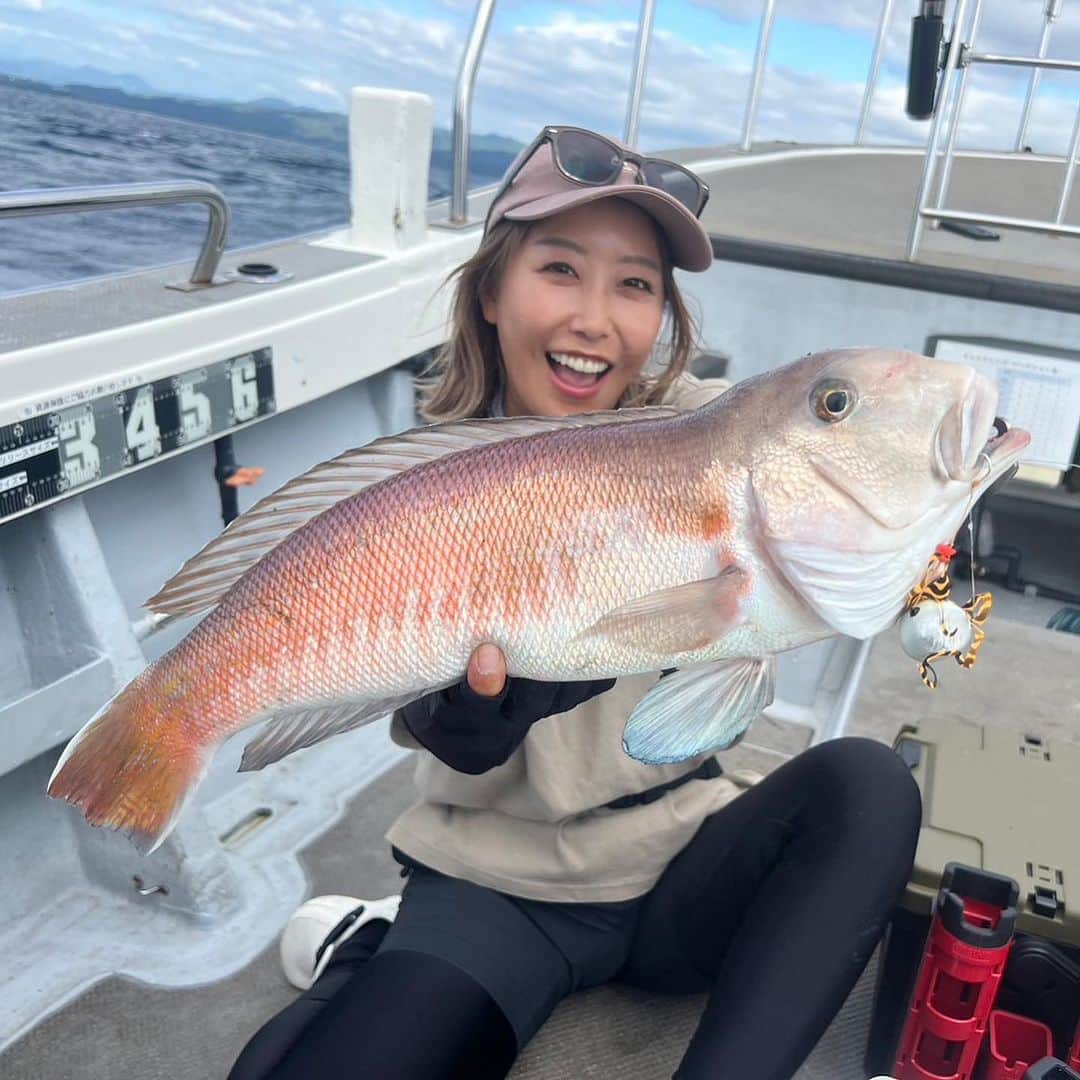 蒼井さやさんのインスタグラム写真 - (蒼井さやInstagram)「昨日は白甘鯛をターゲットに和歌山のブルーピアさん @bluepier_captain にお邪魔してきました😊✨️ たまたま別件で連絡をとってたら「明日空いてる？」ってなって、急遽一緒に釣りに行くことになった @varivas_japan  繋がりで @babababa.fishing  でも仲良くして頂いてる大久保さん @okubokozo  と、いつも通りずっと笑いっぱなしの釣行でした🤣 ・ ・ ・ あの、幻の白甘鯛を釣りに…苦節2年？3年の時を経て今回は私、蒼井さや、やってやりましたよ！！🤣🤣🤣 マジで神がかってた😇✨ タイラバで3本、トドメのジグで(まさかのポイントで)1本釣ることができました😁✨️ ・ ・ ・ 赤甘鯛よりも獰猛な白甘鯛のアタリや引きは、サイズが大きくなればなるほどスリリングかつ気持ちいいくらいにロッドを叩いてくれます😁✨️ 船酔いしたみたいな顔してるけど、めちゃくちゃ美味な白甘鯛ちゃん、やみつきになること間違いなし！ 夕まづめの時間はSLJでマツカサダイやメイチダイ、アカハタやオオモンハタなどいろんな魚も顔を出してくれました☺️ 大久保さんとのいつもやり取り←も大久保さんのYouTubeで近日中に上がるみたいなので是非見てくださいね😁✨️ ちなみに私も一応GoPro回してたので、そのうち動画がどこかでアップされるかも？？ですw 気長に待っててね😁 ・ ・ ・ 【SAYA's TACKLE】 ●タイラバ ロッド▶︎DAIWA 紅牙TYPE-N EX 611MLB THRILL GAME リール▶︎SHIMANO Barchetta 151DHHG ライン▶︎VARIVAS AVANI10×10 MAXPOWER PE0.8号 リーダー▶︎VARIVAS フロロカーボンショックリーダー 16lb タイラバヘッド▶︎レッドスナイパー 160g/120g ネクタイ▶︎SASALABO コブラカーリー 06ゴールドゼブラ/02オレンジゼブラ フック▶︎SASALABO 早替えアシスト シングルフック 喰わせバーブレス 10号 ・ ・ ●SLJ ロッド▶︎BLAUSEA SLJ_MY リール▶︎SHIMANO STELLA C3000MHG ライン▶︎VARIVAS プロトタイプ PE0.6号 リーダー▶︎VARIVAS フロロカーボンショックリーダー16lb ジグ▶︎beat×VARIVAS コラボ ベビージグレイ(サーモンさぁやカラー)75g フック▶︎VARIVAS リトルモンスター 2/0(13mm) ・ ・ ・ 【BLUE PIER】 @bluepier_captain  和歌山県田辺市芳養松原1－35 E-MAIL：info@blue-pier.com 090-6978-2456 ・ ・ ・  #ブルーピア  #bluepier  #白甘鯛  #タイラバ  #アマラバ  #SLJ  #スーパーライトジギング  #釣り  #釣り女子  #Fishing  #fishinglife  #Fishinggirl  #beat  #SASALABO  #sasalaboコブラカーリー」9月26日 17時21分 - saya.aoi