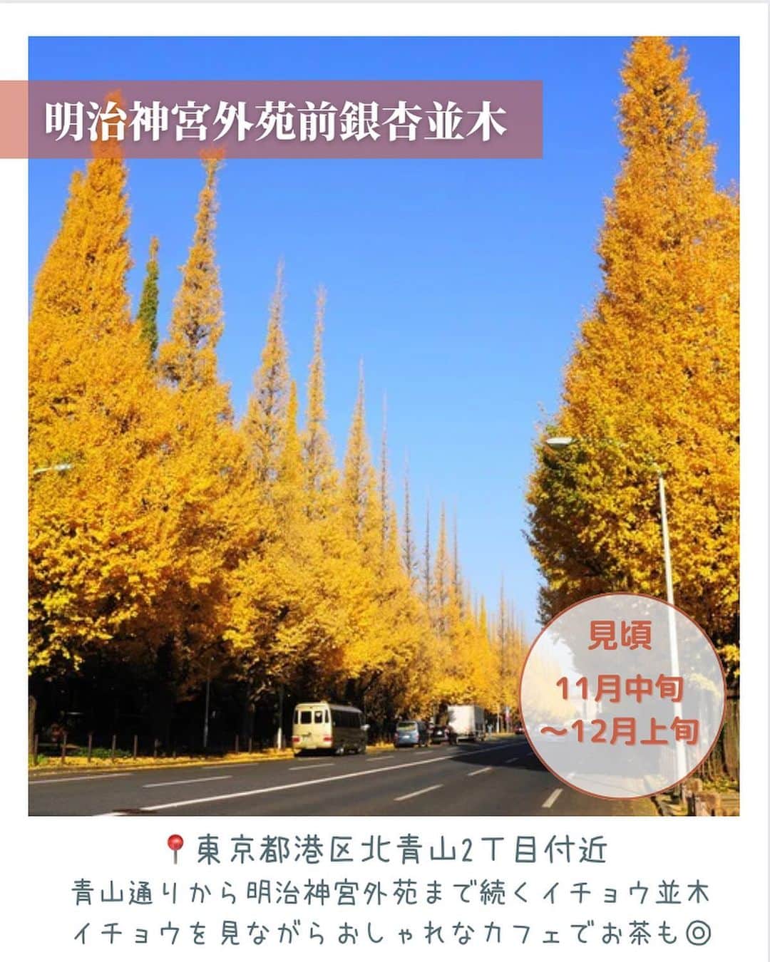 aumoさんのインスタグラム写真 - (aumoInstagram)「気温も下がり、秋の訪れを感じる季節となりましたね！ 今回は東京都内で気軽に楽しめる紅葉スポットをご紹介します♪  ぜひ保存して、お出かけの際に参考にしてみてください◎  ・国営昭和記念公園 📍東京都立川市緑町３１７３  ・六義園 📍東京都文京区本駒込六丁目  ・高尾山 📍東京都八王子市高尾町  .国営ひたち海浜公園 📍茨城県ひたちなか市馬渡 字大沼605-4  ・御岳山 📍東京都青梅市御岳２丁目４８３(滝本駅)  ・明治神宮外苑前銀杏並木 📍東京都港区北青山2丁目付近  ・日比谷公園 📍東京都千代田区日比谷公園１  あなたが撮影した写真に 「#aumo」をつけてください♪ あなたの投稿が明日紹介されるかもっ🌷 . . aumoアプリは毎日配信！お出かけや最新グルメなどaumo読者が気になる情報が満載♡ ダウンロードはプロフィールのURLから🌈 . . #aumo #アウモ　#紅葉　#紅葉スポット　#東京観光 #都内お出かけスポット #東京デート　#外苑前 #日比谷公園 #話題スポット #おすすめスポット #六義園 #御岳山 #高尾山　#国営昭和記念公園　#国営ひたち海浜公園　#イチョウ並木　#イチョウ　#銀杏　#もみじ　#お花畑 #おでかけスポット #フォトスポット #インスタ映え #フォトジェニック #絶景スポット #ファインター越しの私の世界」9月26日 17時41分 - aumo.jp