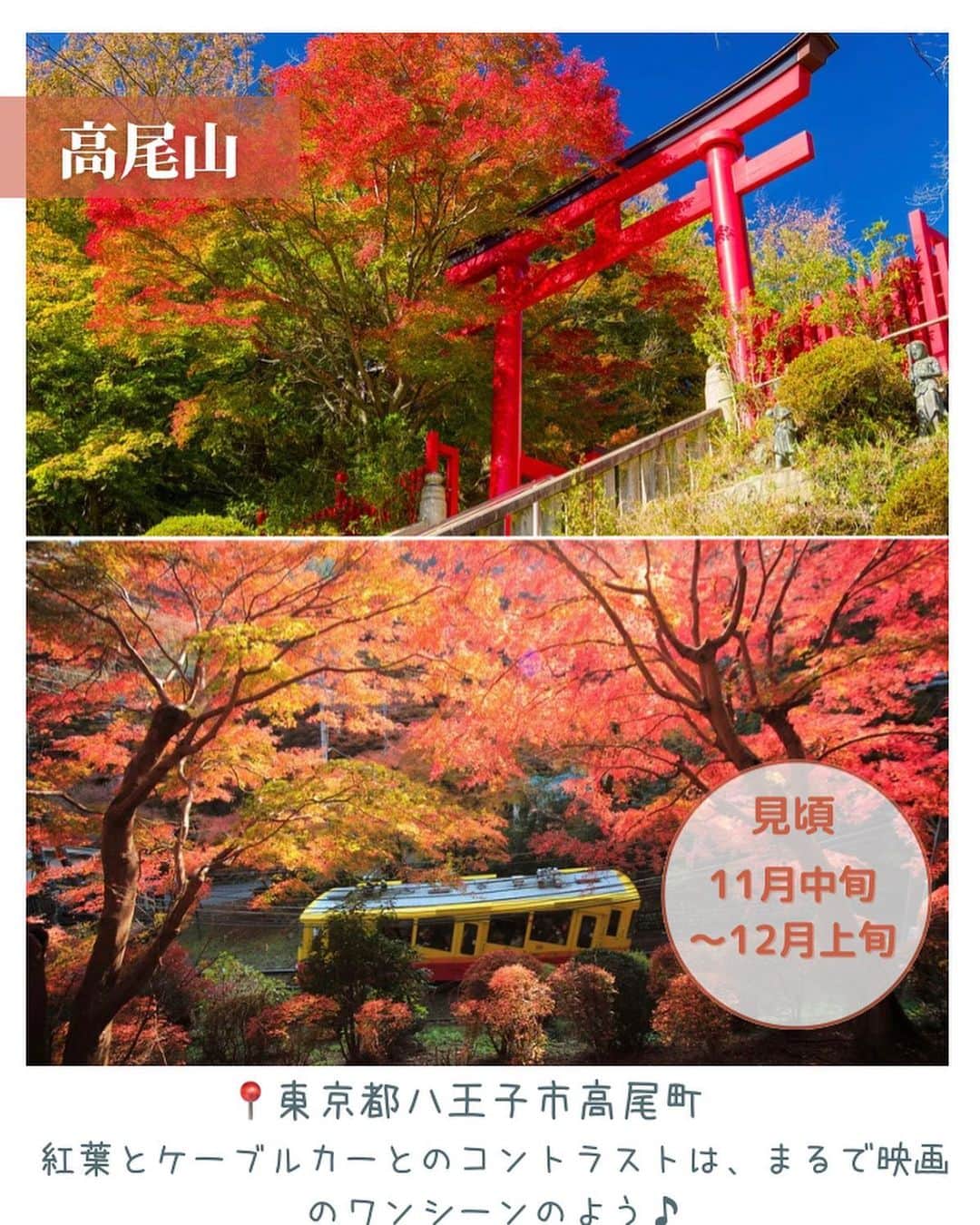 aumoさんのインスタグラム写真 - (aumoInstagram)「気温も下がり、秋の訪れを感じる季節となりましたね！ 今回は東京都内で気軽に楽しめる紅葉スポットをご紹介します♪  ぜひ保存して、お出かけの際に参考にしてみてください◎  ・国営昭和記念公園 📍東京都立川市緑町３１７３  ・六義園 📍東京都文京区本駒込六丁目  ・高尾山 📍東京都八王子市高尾町  .国営ひたち海浜公園 📍茨城県ひたちなか市馬渡 字大沼605-4  ・御岳山 📍東京都青梅市御岳２丁目４８３(滝本駅)  ・明治神宮外苑前銀杏並木 📍東京都港区北青山2丁目付近  ・日比谷公園 📍東京都千代田区日比谷公園１  あなたが撮影した写真に 「#aumo」をつけてください♪ あなたの投稿が明日紹介されるかもっ🌷 . . aumoアプリは毎日配信！お出かけや最新グルメなどaumo読者が気になる情報が満載♡ ダウンロードはプロフィールのURLから🌈 . . #aumo #アウモ　#紅葉　#紅葉スポット　#東京観光 #都内お出かけスポット #東京デート　#外苑前 #日比谷公園 #話題スポット #おすすめスポット #六義園 #御岳山 #高尾山　#国営昭和記念公園　#国営ひたち海浜公園　#イチョウ並木　#イチョウ　#銀杏　#もみじ　#お花畑 #おでかけスポット #フォトスポット #インスタ映え #フォトジェニック #絶景スポット #ファインター越しの私の世界」9月26日 17時41分 - aumo.jp