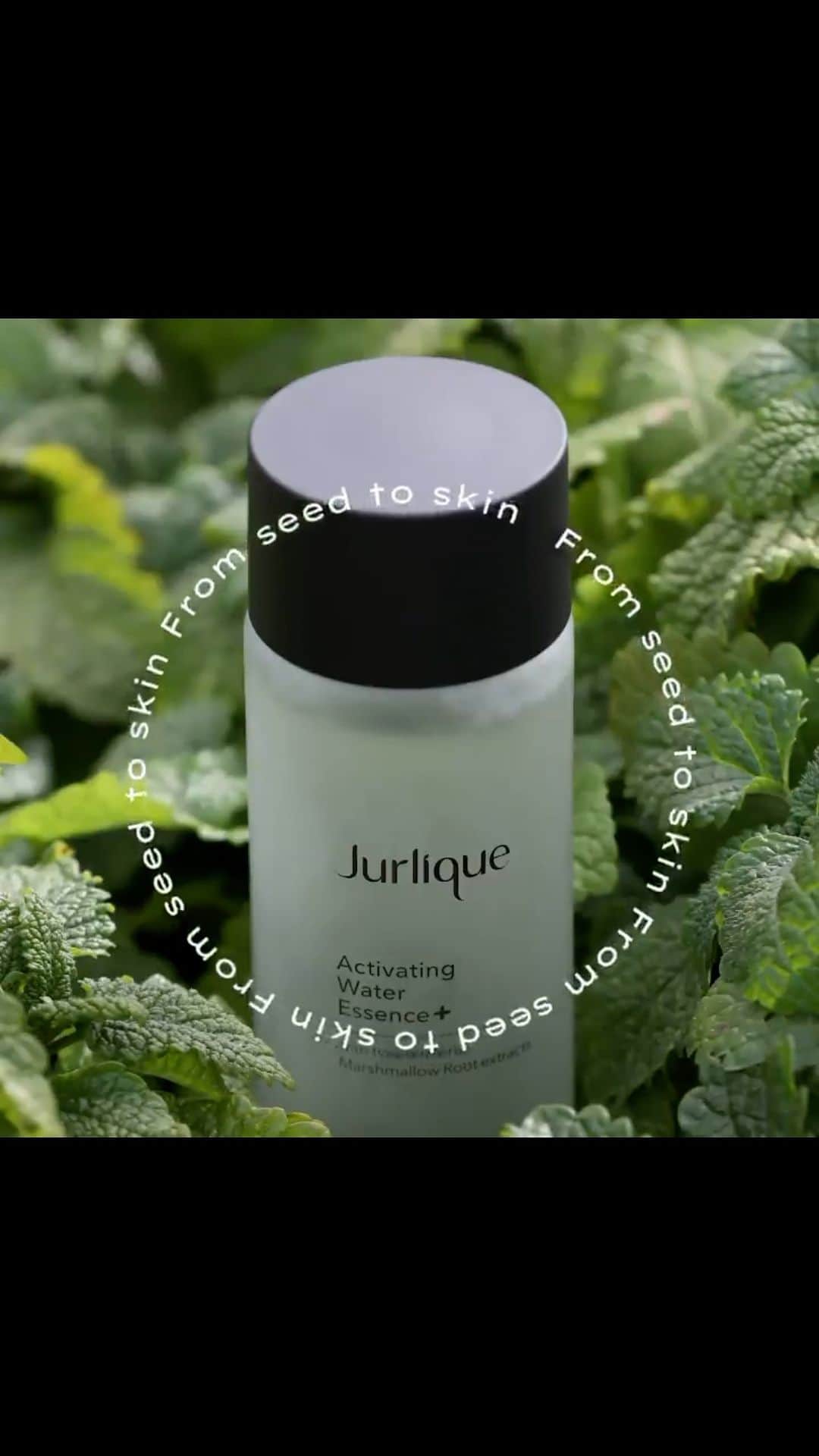 Jurlique Japanのインスタグラム