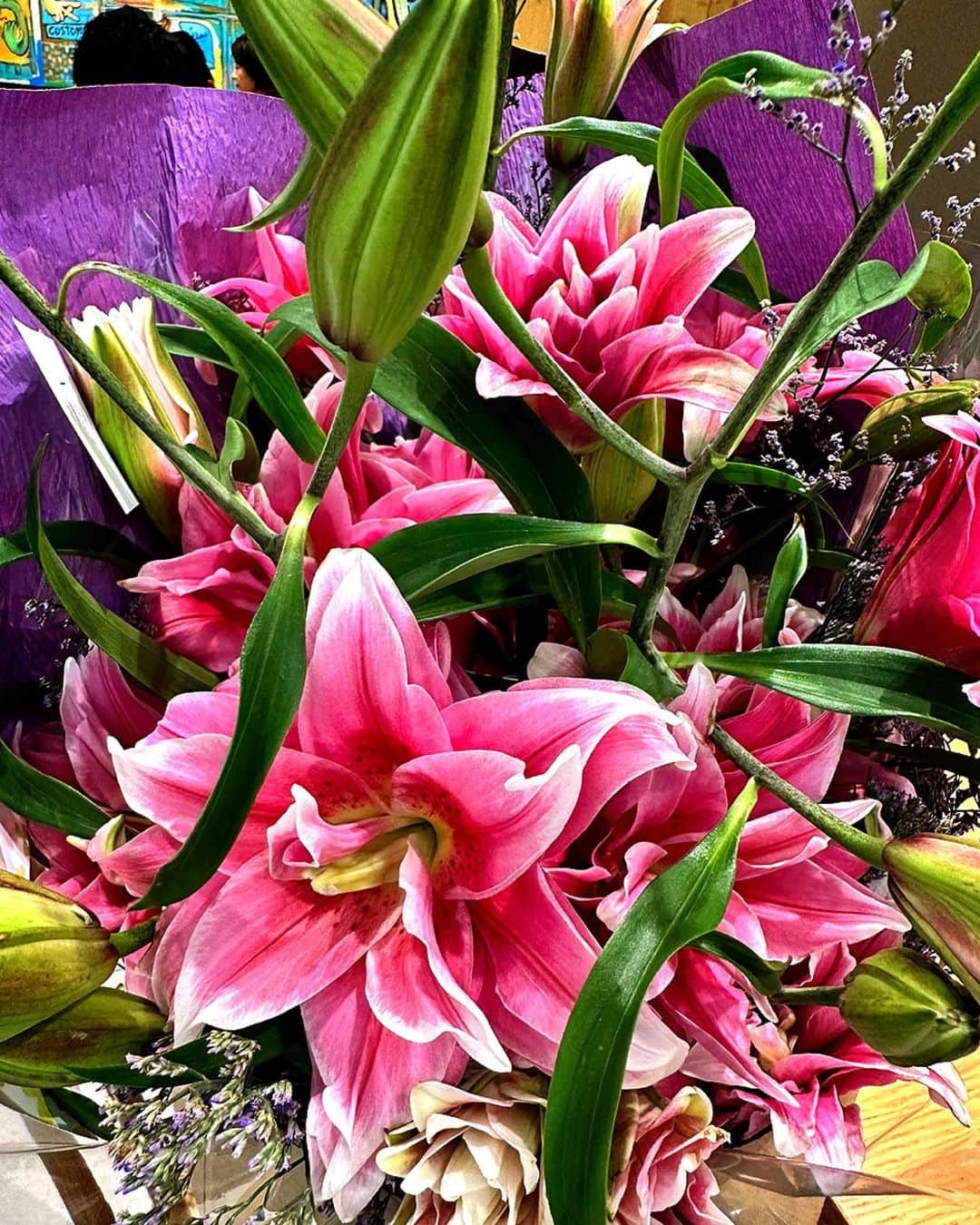 木山裕策さんのインスタグラム写真 - (木山裕策Instagram)「いつもコンサートに来てくださる方から、デビュー15周年記念だからと素敵な花束をいただきました😭‼️  八重咲きの百合ってこんなに豪華なんですね😍‼️玄関に飾らせていただきます💐。本当にありがとうございました❣️」9月26日 17時50分 - kiyamayusaku