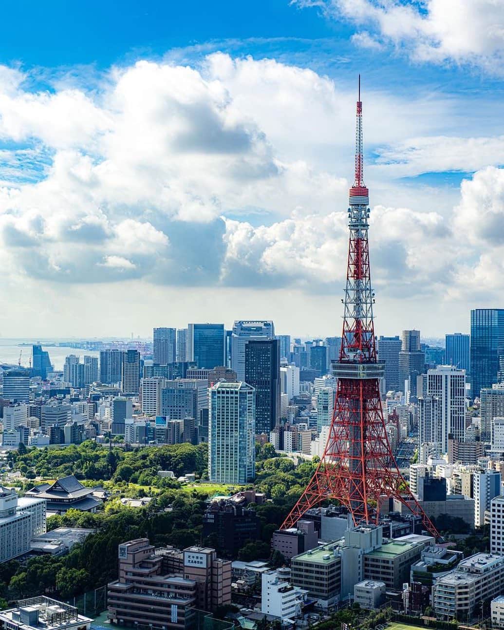 東京タワーさんのインスタグラム写真 - (東京タワーInstagram)「. 早いもので9月も下旬に差し掛かり 先日、秋分の日を迎えました。   Your Tokyo Towerには ライトアップされた東京タワーの写真を 投稿頂くことが多いのですが、 日中の写真には、素敵な雲が映っている 写真が多いようです。   雲も季節によって、様々な形になりますが 夏の真っ白な入道雲と赤い東京タワー🗼 この対比も素敵ですよね！   本日は@surfsideup7689 さんの 写真をご紹介！   素敵なお写真をありがとうございました😊  --------------------------------  【 お知らせ 】  ■ Your Tokyo Tower 🗼  # your_tokyotowerで あなたの東京タワーをリポスト！  @tokyotower_official の タグ付けをしてくれると見つけやすいよ！  皆様からの投稿 どしどしお待ちしております！  ■ 公式LINE  東京タワー公式LINEでは 東京タワーのイベント情報を お届けしています！  詳細はプロフィールにあるリンクから↓ @tokyotower_official  --------------------------------  #東京タワー #東京タワー🗼  #tokyotower #tokyotower🗼  #青空 #雲」9月26日 17時50分 - tokyotower_official