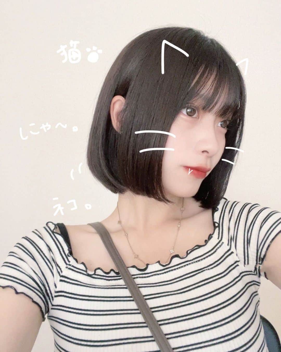 三野宮鈴のインスタグラム：「ボブが一番にゃーん。」