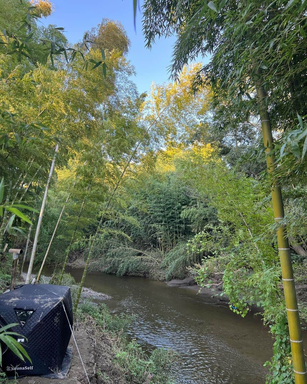 佐野真彩さんのインスタグラム写真 - (佐野真彩Instagram)「千葉県君津市にあるおすすめテントサウナ🏕️ 📍PGFキャンプ 初めてでしたが最高に良かった。  テントサウナは、普段より早く沢山汗をかけたし、 水風呂は目の前に広がる糸井川〜🏞️  ...因みに、近くに温泉があるので、 お肌によい成分が含まれているそう🌿  テントもそれぞれ離れていたし、竹林も相まって周りが気にならず、 外気浴の真髄が味わえた気がします。  テントサウナ、思っていた以上に良かったー！ また行きたいです  #PGFキャンプ　#テントサウナ　#千葉県サウナ #サウナ最高　#サウナ女子」9月26日 18時17分 - sano.maya