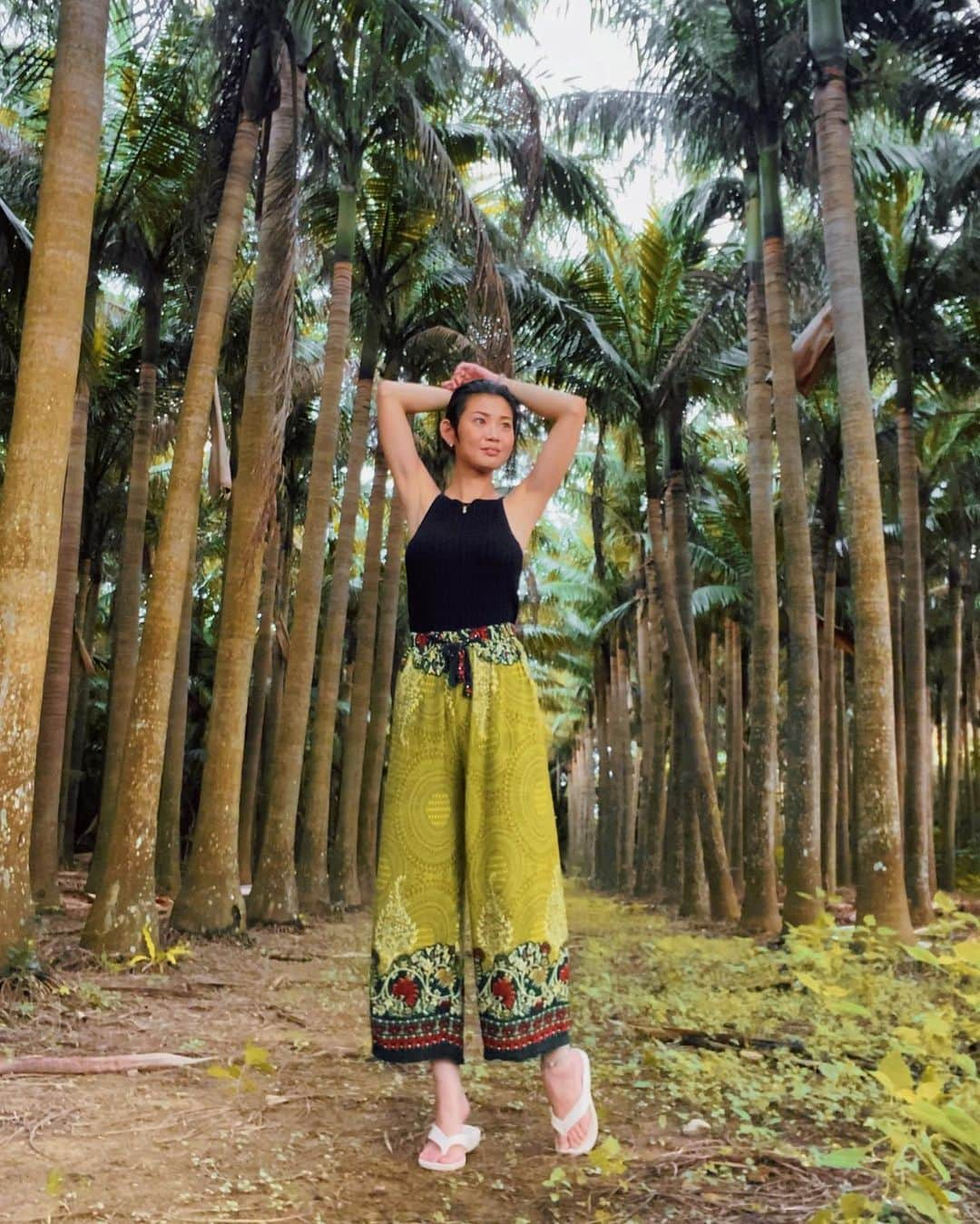 はなざわあさこさんのインスタグラム写真 - (はなざわあさこInstagram)「ヤエヤマヤシ🌴 と同化するタイパンツで 仕込みに来てしまったケド ピクミンがてら椰子ポイントに到着したので、 とりあえず撮ってみました🌴 だかしかし椰子と自分をどっちも画角に収めるのは難しぃ🤣 リベンジ！白い服がオススメ。笑笑 このタイパンツは今オースにいる前ちゃんのタイ土産🎁 涼しいしタイパンツは石垣に最高❤️ @mae88_1125  #ヤエヤマヤシ #八重山椰子 #惣屋から徒歩2分 #ootd #コーデ #石垣島 #石垣旅行 #写真ポイント #タイパンツ #タイ土産 #ishigaki #palmtrees #ピクミンにハマってます」9月26日 18時38分 - asakohanazawa