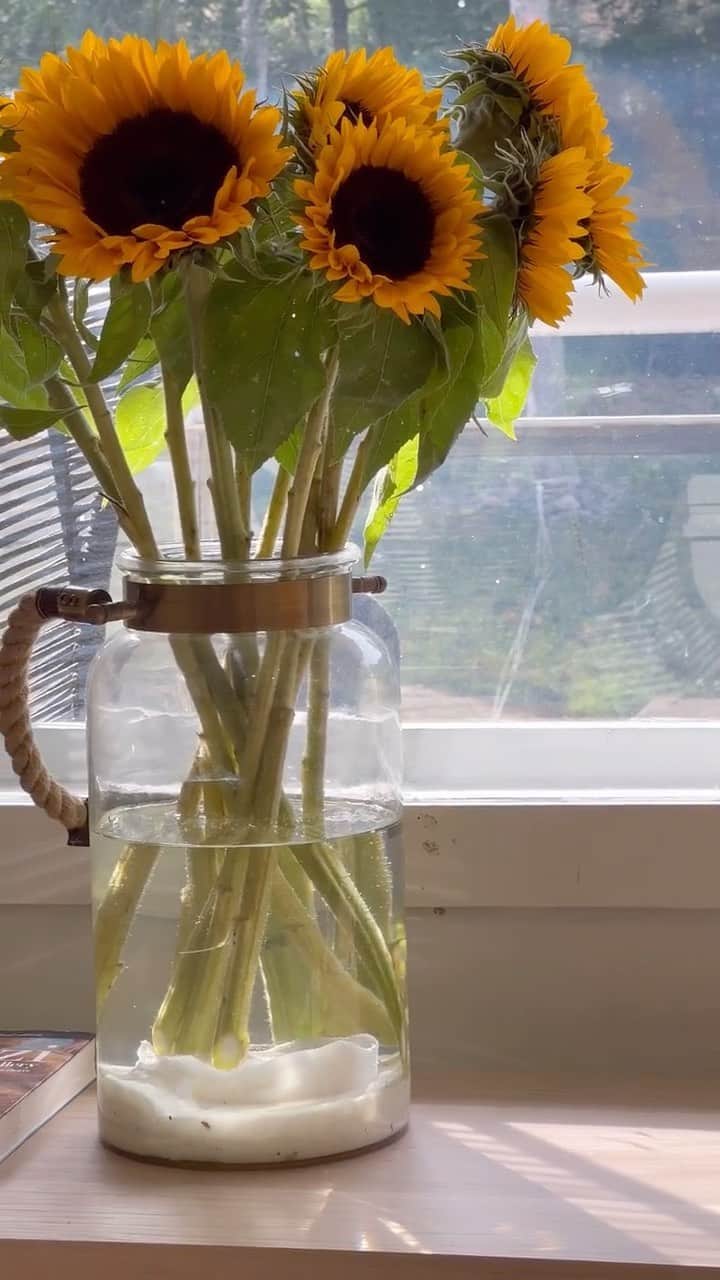 ベアータ・パップのインスタグラム：「Koti 💛🌻💭🫶🏼」