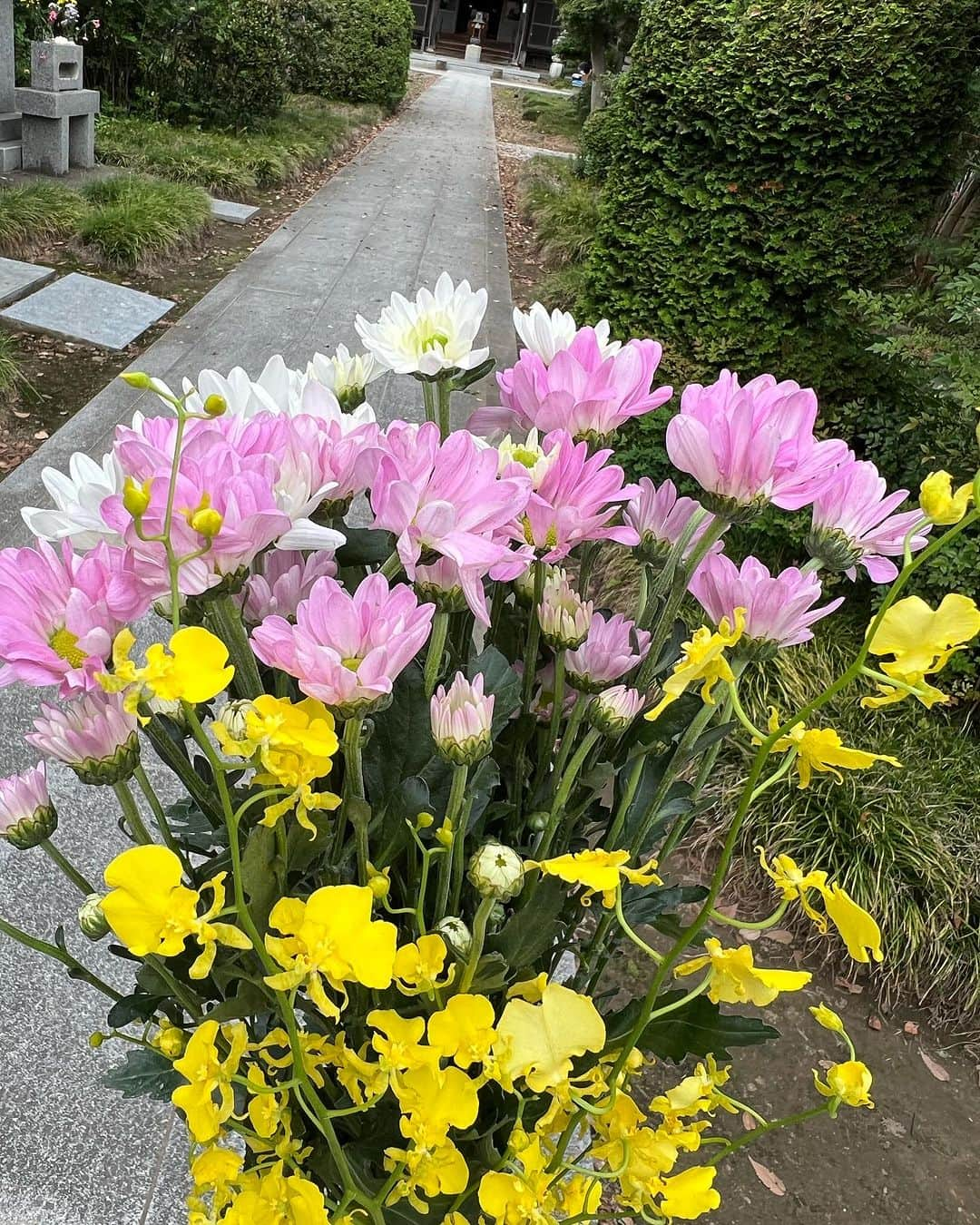 川田御早希さんのインスタグラム写真 - (川田御早希Instagram)「お彼岸の最終日☆熊谷にある祖父母のお墓参りへ☆地元の名物麦とろ、国宝になった歓喜院聖天堂など祖父母との思い出の地をめぐりました☆  #お彼岸  #お彼岸のお墓参り  #熊谷  #歓喜院聖天堂」9月26日 18時53分 - misaki_kawada