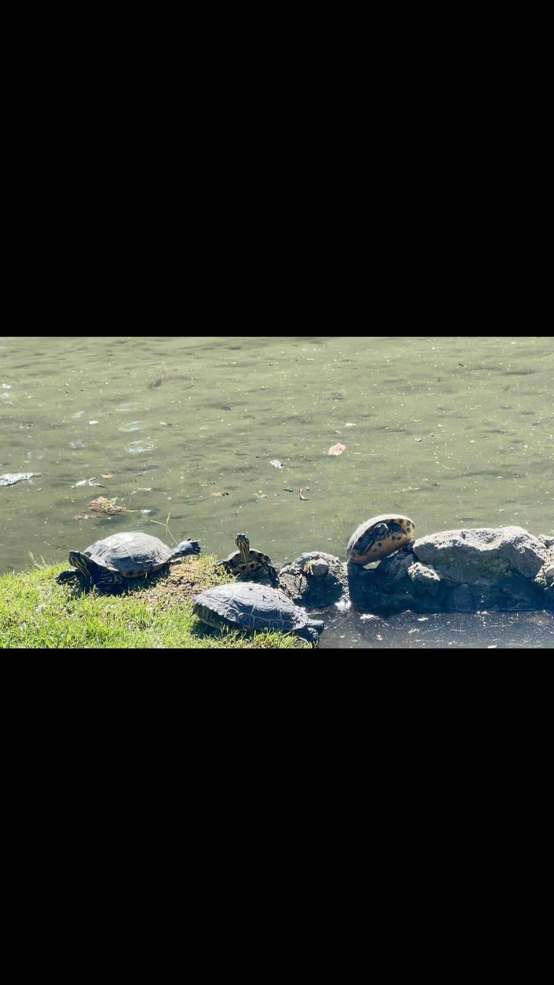 のインスタグラム：「公園にて。」