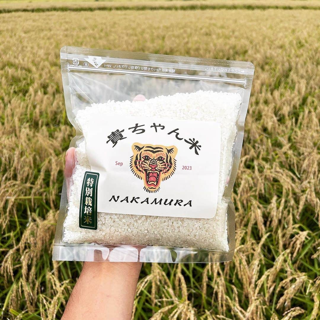 中村貴之さんのインスタグラム写真 - (中村貴之Instagram)「たかちゃん米🌾 限定30個で販売します。  有機肥料で育てた特別栽培米。 高晴天率の佐久市で採れた一等米のコシヒカリです✨ 今年は親父のアドバイスの元、全ての工程を自分でやりました。苗から稲穂になるまで毎日見届けてきました。 手前味噌ではありますが、おいしいお米になったと思います☺️  プロフィールのリンクから【BREW&中村商店】へ飛んでみてください。 5合の白米を販売しております。 お気に入りのパッケージデザインは嫁さんが作ってくれました☺️ 是非ご賞味ください🙏  数に限りがございますので、あらかじめご了承ください🙇‍♂️ We are sorry, this item cannot be shipped overseas.」9月26日 19時27分 - taka_brew