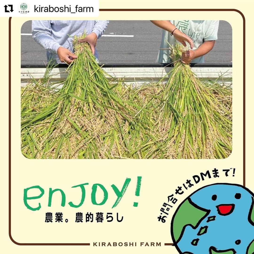 ヒデトレさんのインスタグラム写真 - (ヒデトレInstagram)「YES👍🌾  #Repost @kiraboshi_farm with @use.repost ・・・ ※イラスト（写真1枚目）には9/30sunと書いてありますが、9/30sat（土）が正しい曜日となりますので、ご注意ください🙏  キラ星にTsudou「稲刈り体験」  5月に植えたもち米の稲刈体験  昔ながらの手作業を楽しみましょう！ 収穫したもち米は、乾燥後、お届けします。  【当日の予定】 10:00　田んぼに集合 稲刈開始 　　　 稲を束ねて、ハゼかけ 　　　 途中、昼食休憩  15:00 ごろ現地解散 　　　 当日の天候、作業の進み具合によって終了時間が前後する場合があります。  【持ち物】 ・汗拭きタオル ・足拭きタオル ・軍手、ガーデニング用手袋 ・帽子 ・水筒 ・必要に応じて…着替え、虫除け、日焼け止めクリーム  【服装】 動きやすい汚れても大丈夫な格好 長靴をお持ちの方は持参推奨  【参加費】 お一人様　5,500円（税込） ☆昼食のお弁当付き ☆小学生までは無料でご参加いただけます。 【交通手段】 ・電車でお越しの場合 　JR小山駅東口より「おーバス」 　５番線　土塔平成通り線　土塔二公民館西で下車 　注意：「おーバス」は現金のみです！  ・お車でお越しの場合 　駐車スペースございます。集合場所までお越しくださいませ。  主催者 Tsudou  #農業#農業体験#稲刈り#田んぼ#お米#もち米#自然#栃木県#小山市#」9月26日 19時38分 - hidetore