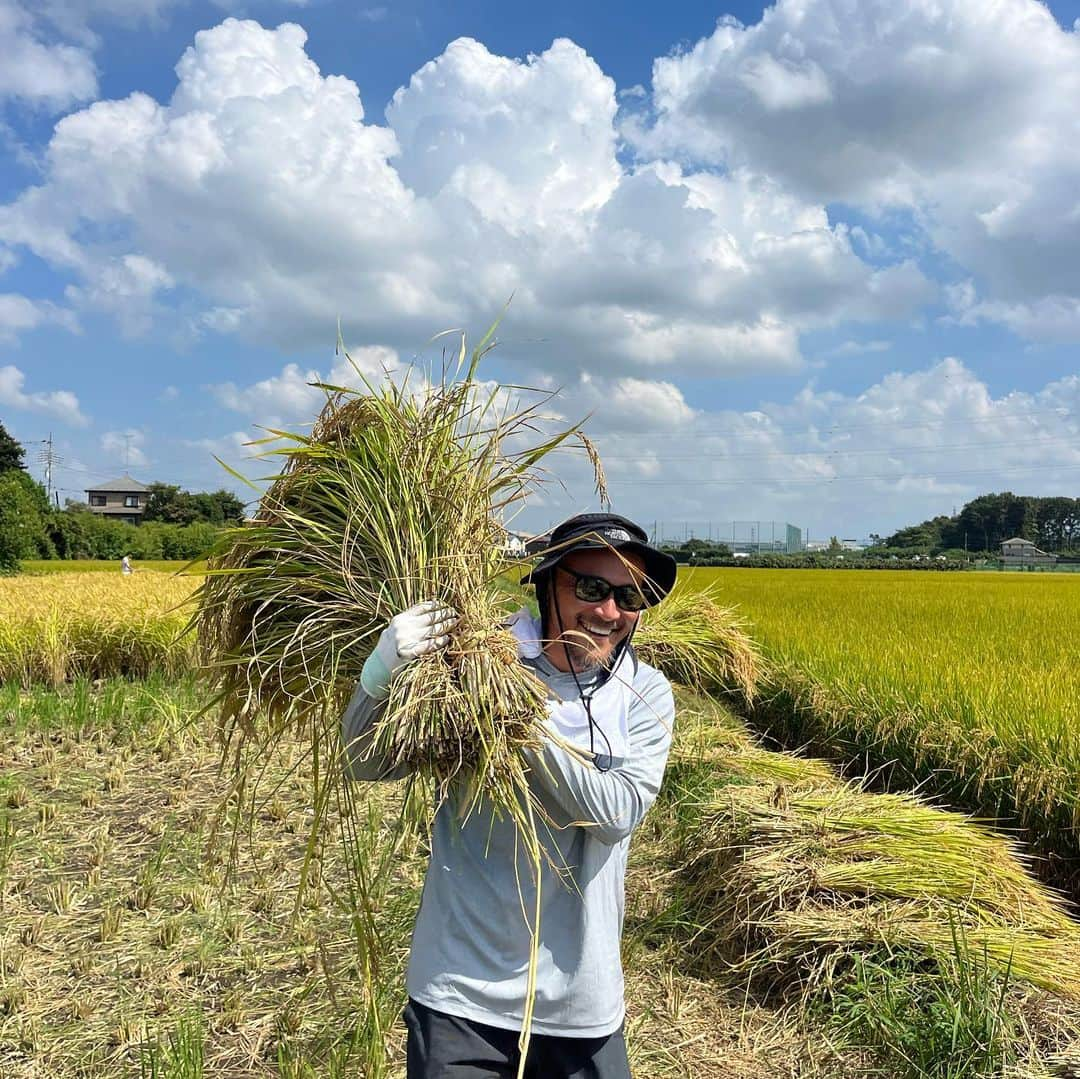 ヒデトレさんのインスタグラム写真 - (ヒデトレInstagram)「YES👍🌾  #Repost @kiraboshi_farm with @use.repost ・・・ ※イラスト（写真1枚目）には9/30sunと書いてありますが、9/30sat（土）が正しい曜日となりますので、ご注意ください🙏  キラ星にTsudou「稲刈り体験」  5月に植えたもち米の稲刈体験  昔ながらの手作業を楽しみましょう！ 収穫したもち米は、乾燥後、お届けします。  【当日の予定】 10:00　田んぼに集合 稲刈開始 　　　 稲を束ねて、ハゼかけ 　　　 途中、昼食休憩  15:00 ごろ現地解散 　　　 当日の天候、作業の進み具合によって終了時間が前後する場合があります。  【持ち物】 ・汗拭きタオル ・足拭きタオル ・軍手、ガーデニング用手袋 ・帽子 ・水筒 ・必要に応じて…着替え、虫除け、日焼け止めクリーム  【服装】 動きやすい汚れても大丈夫な格好 長靴をお持ちの方は持参推奨  【参加費】 お一人様　5,500円（税込） ☆昼食のお弁当付き ☆小学生までは無料でご参加いただけます。 【交通手段】 ・電車でお越しの場合 　JR小山駅東口より「おーバス」 　５番線　土塔平成通り線　土塔二公民館西で下車 　注意：「おーバス」は現金のみです！  ・お車でお越しの場合 　駐車スペースございます。集合場所までお越しくださいませ。  主催者 Tsudou  #農業#農業体験#稲刈り#田んぼ#お米#もち米#自然#栃木県#小山市#」9月26日 19時38分 - hidetore