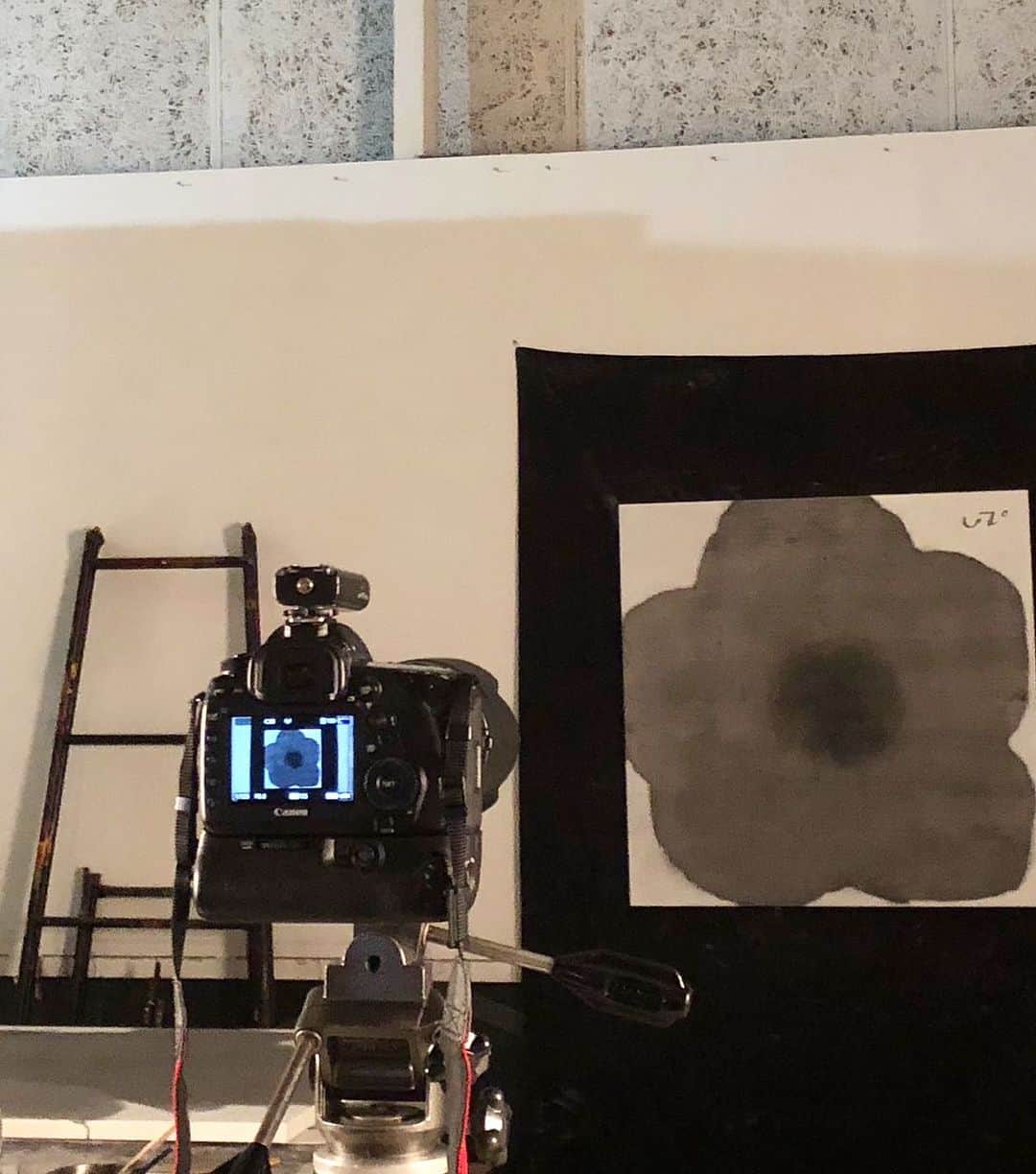 Uzo Hiramatsuのインスタグラム：「UZO recordings at AFAF 2023. Photographed the newly completed paintings on the evening of 19 September. #AFAF2023  #painter #Japan #fukuoka #contemporaryart #painting #drawing #mixedmedia  #flower #flowers」
