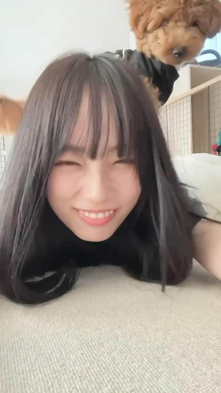 有働優菜のインスタグラム：「回り出した  #ミディアムヘア #顔周りカット #外ハネボブ #ボブ #ポートレート #ootd #ootdfashion #japanesegirl #followme #followmejp #팔로우 #셀카 #좋아요 #일본 #vaundy #踊り子」