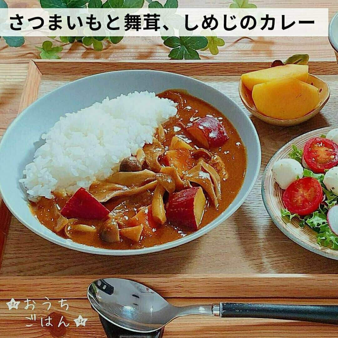 おうちごはん編集部さんのインスタグラム写真 - (おうちごはん編集部Instagram)「【旬の味覚とスパイスが好相性！ #秋カレー 7選】  秋の食材を使ったカレーは、夏に食べるカレーとはまた違った魅力がありますよね🍛💕  そこで、秋鮭やさつまいも、きのこなどを使った #秋カレー のおいしいアレンジをご紹介✨  カレーはいつも同じような具材で作ってしまうという方、要チェックです👀  ------------------  🍛鮭のクリームカレー photo by @mk_curry7  🍛さつまいもと舞茸、しめじのカレー photo by @ari__mi  🍛カボチャと豚こまココナッツカレー photo by @neccoco_curry  🍛ラム肉とれんこんのカレー photo by @gigitomayu_england  🍛ナスカレー photo by @satoko.0212  🍛ナスと豚肉のカレー photo by @ggunsou  🍛アレッピーオイスターカリー photo by @mikitty_curry  ------------------  ◆ #おうちごはんLover を付けて投稿するとおうちごはんの記事やこのアカウント、おうちごはん発信のトレンドリリースなどでご紹介させていただくことがございます。スタッフが毎日楽しくチェックしています♪  ［staff : コノ］ ------------------  #おうちごはんLover #おうちごはんラバー #ouchigohanlover #ouchigohan #おうちごはん #カレー #curry #カレーライス #カレー作り #手作りカレー #カレー好き #カレー好きな人と繋がりたい #カレー好きと繋がりたい #自炊 #献立 #家庭料理 #手料理 #手作り料理 #料理 #手作りごはん #秋の味覚 #秋ごはん #秋を楽しむ #秋を満喫 #栄養満点 #おうち時間 #暮らしを楽しむ」9月27日 6時00分 - ouchigohan.jp