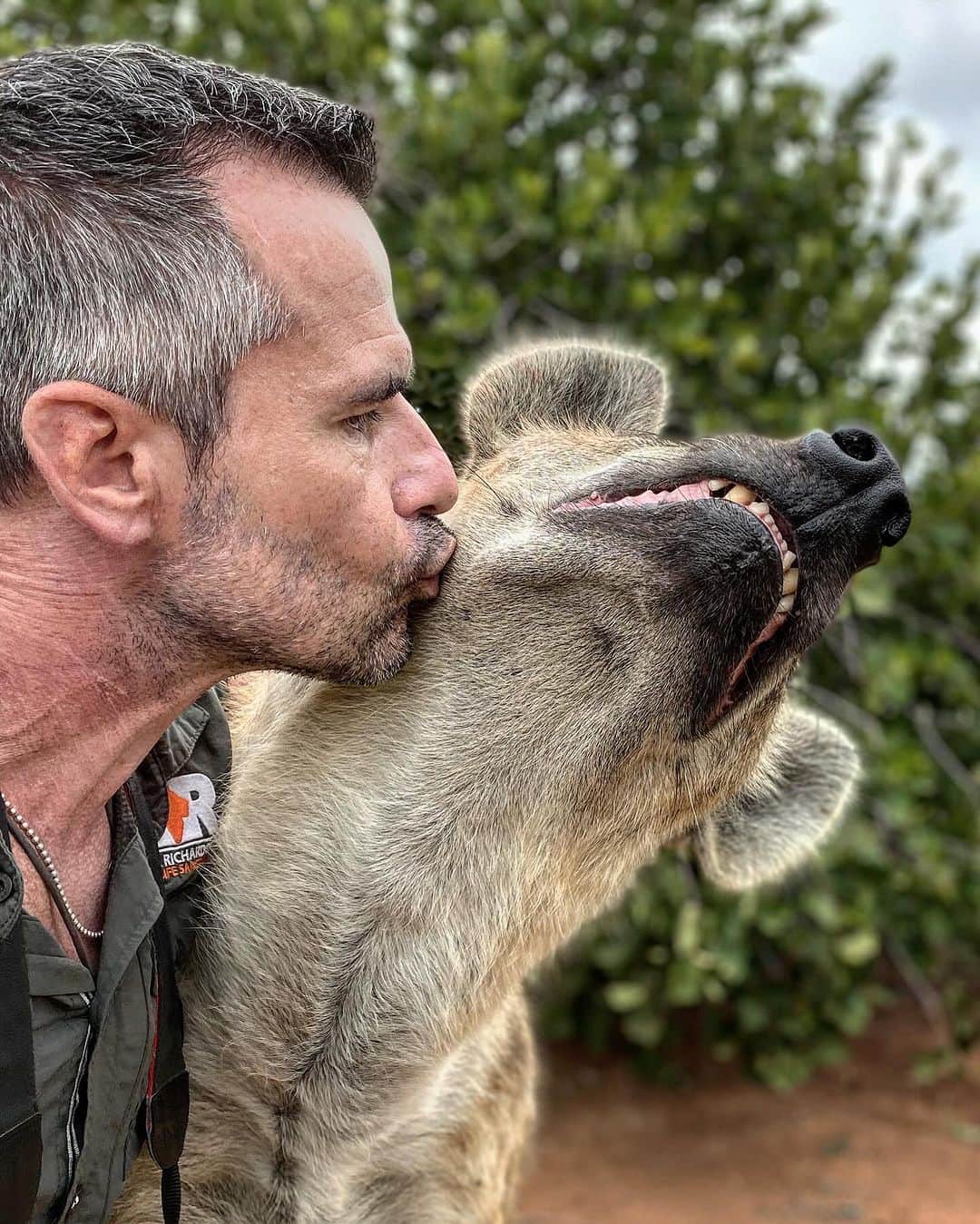 Kevin Richardson LionWhisperer さんのインスタグラム写真 - (Kevin Richardson LionWhisperer Instagram)「Years of trust allow me to help Woody with her wounds. We have shared a bond for well over a decade, which allows me to tend to her injuries after a fight she had with Nancey for dominance. Hyenas are incredibly smart animals and Woody knows from previous experience that her wounds heal quicker when she allows me to apply the wound cream.  #WildlifeConnection #HealingJourney #UnbreakableBond  #WildFriendship #HyenaHealer #TrustBuiltOverTime #HyenaHealing」9月26日 22時17分 - lionwhisperersa