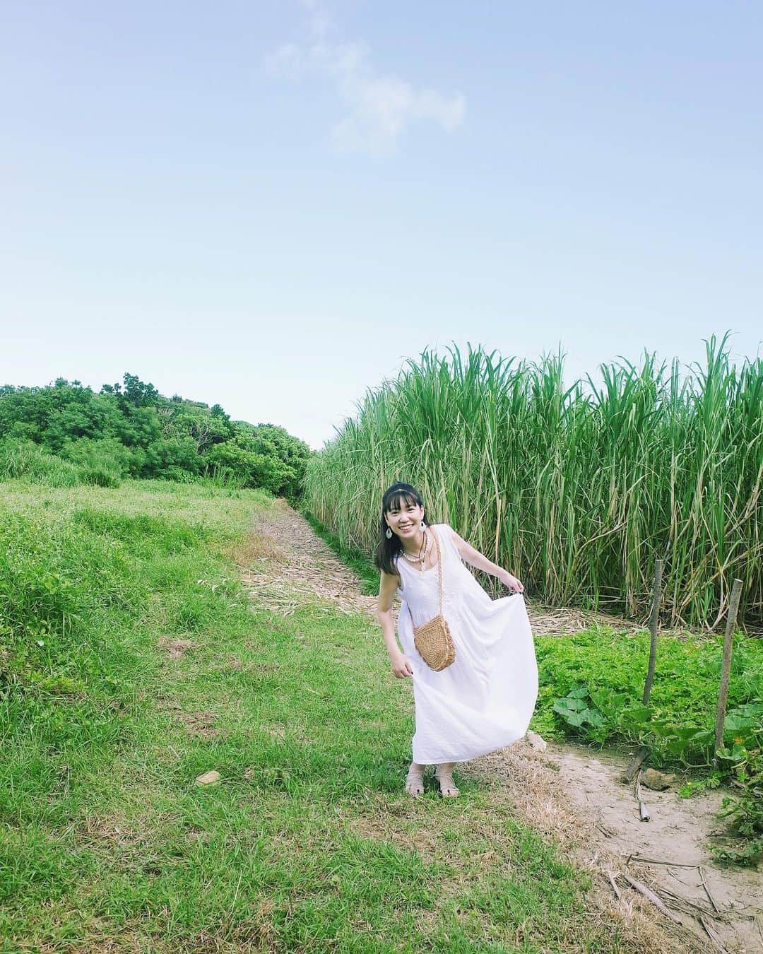 永原真夏のインスタグラム：「石垣島で描いた絵とともに、自身の体験をベースとした、健康と音楽についてのZINEを作っています⚪️ 新作「Musicalium」のテーマのひとつが〝ヒーリング〟になった経緯も関係していて、個人的に、記録としても纏めておきたいなあと思っていた事柄。 ツアーに間に合ったらいいなと思いつつ、のんびり作ります🪽」
