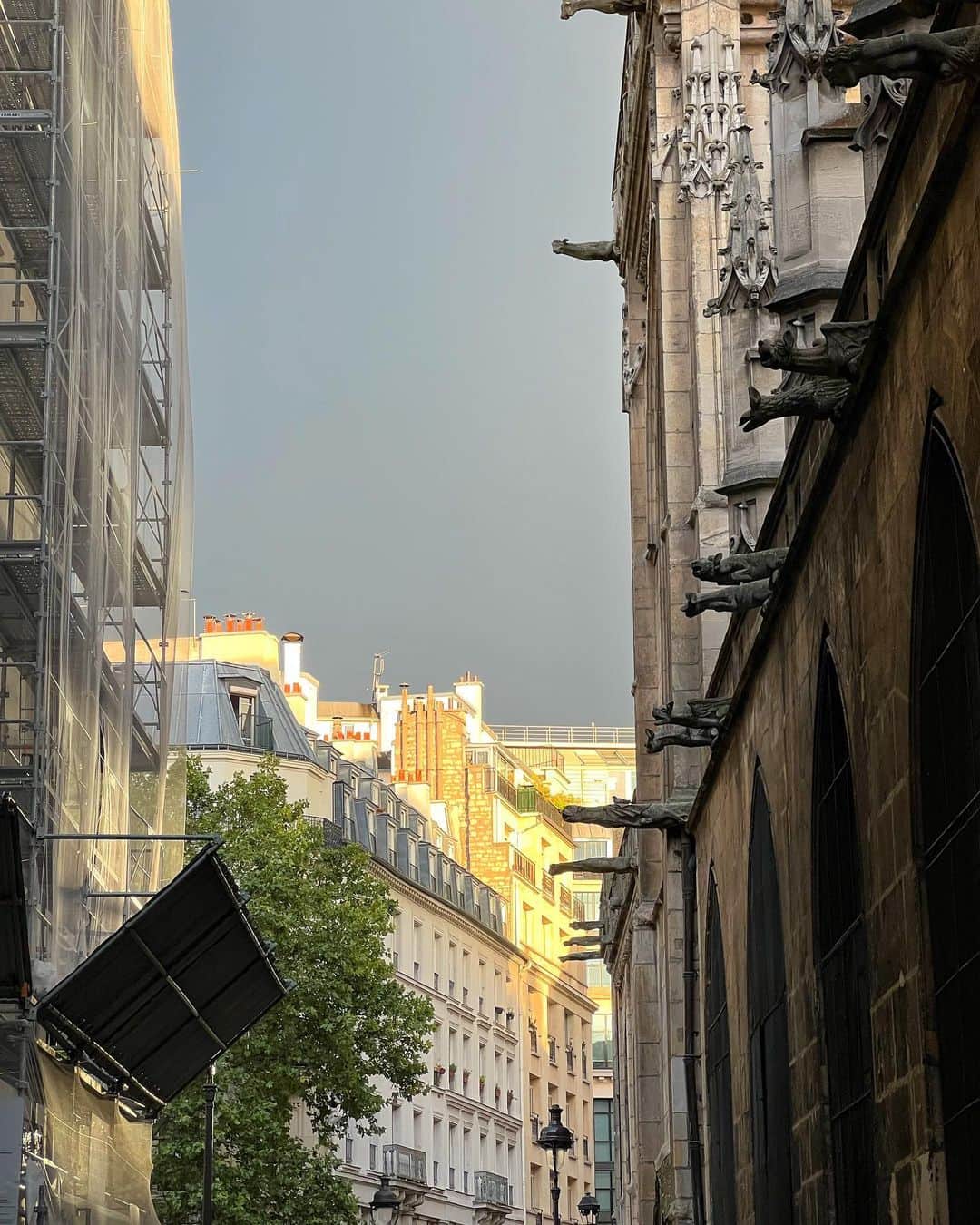 キム・グリームさんのインスタグラム写真 - (キム・グリームInstagram)「구물구물한 날씨는 국물이지.. 주먹밥이랑 미소된장국 사서 뛸르히 가든에서 후루룩 🍙🖤 (맥주도 한캔)  #GreeminFrance_Paris」9月26日 23時38分 - greemkim