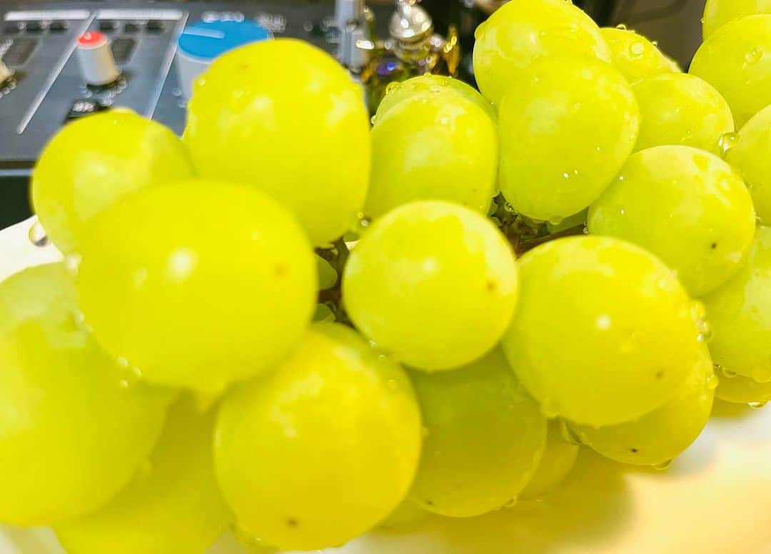 Shinnosukeのインスタグラム：「SHINE !!  …いえ、特に意味はございません。 すみません。  #あま」
