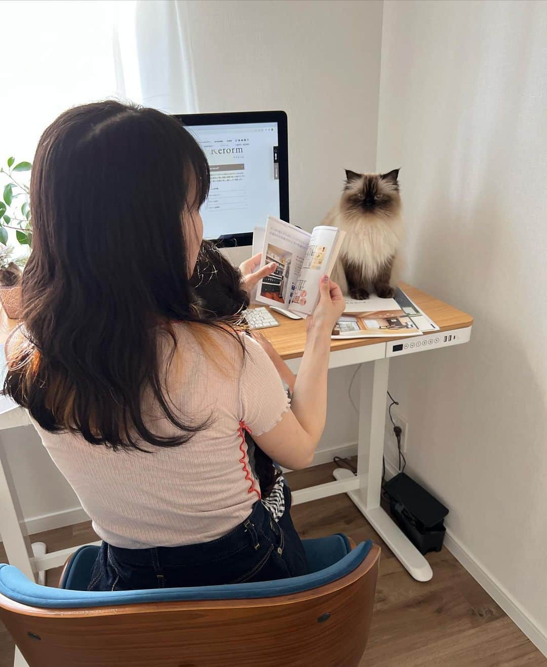 plumeさんのインスタグラム写真 - (plumeInstagram)「プリュムと一緒にヤマダホームズのカタログを🏡👀  憧れの一軒家🏠家具・家電もサービスの住宅もあるみたいで、入居日からすぐに快適な新生活をスタート出来るんだって😳👏すごくありがたい🙏  今の私ならニャンズのための猫ドアや猫道を作ったり🐈🐈‍⬛💨水周りにこだわりたいのと、スマートキーにしたいなぁ🥹🔑✨  家づくりって何からスタートすればいい？か分からないし正解もないので悩む悩む…🫠 そんな方に家づくりの知識、ヤマダホームズ　@yamadahomes　の"カタログ請求"がおすすめだよ💁🏻‍♀️  #ヤマダホームズ #デザイン住宅のヤマダホームズ」9月26日 23時46分 - plumestagram