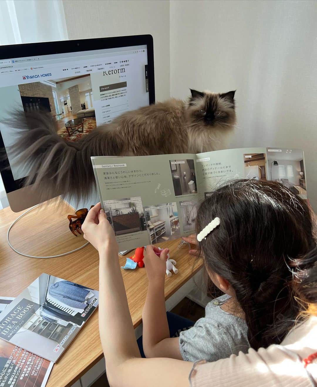 plumeさんのインスタグラム写真 - (plumeInstagram)「プリュムと一緒にヤマダホームズのカタログを🏡👀  憧れの一軒家🏠家具・家電もサービスの住宅もあるみたいで、入居日からすぐに快適な新生活をスタート出来るんだって😳👏すごくありがたい🙏  今の私ならニャンズのための猫ドアや猫道を作ったり🐈🐈‍⬛💨水周りにこだわりたいのと、スマートキーにしたいなぁ🥹🔑✨  家づくりって何からスタートすればいい？か分からないし正解もないので悩む悩む…🫠 そんな方に家づくりの知識、ヤマダホームズ　@yamadahomes　の"カタログ請求"がおすすめだよ💁🏻‍♀️  #ヤマダホームズ #デザイン住宅のヤマダホームズ」9月26日 23時46分 - plumestagram