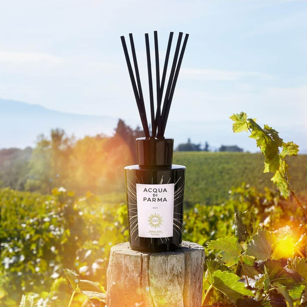 アクアディパルマさんのインスタグラム写真 - (アクアディパルマInstagram)「Acqua di Parma meets Tenuta Luce. Fresh notes of lavandin and thyme meet the deep, enveloping essence of sandalwood, creating an olfactory portrait rich with the spirit of sun-kissed soil and the savoir-faire of barrels. Feel the Italian sun with a fragrance that evokes heritage, culture, and the pure energy of nature in its full splendor.   #AcquadiParma​ #theessenceofItalianlife #ItalianLifestyle #HomeCollection」9月27日 0時00分 - acquadiparma