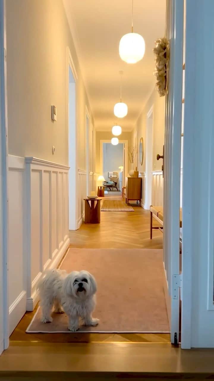 アダム・センのインスタグラム：「A house with out a dog is just a house. A good dog makes it a home. 🏡 🐶   #home #design #interiordesign   @happyhomecopenhagen」