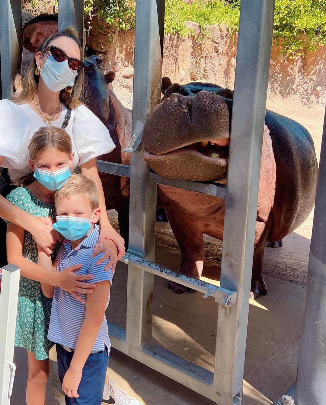 Elizabeth Chambers Hammerさんのインスタグラム写真 - (Elizabeth Chambers HammerInstagram)「summer jobs, child labor, and the @sanantoniozoo. and masks bc hippos are highly susceptible to COVID. who knewww?! 📍 @birdbakery San Antonio @birdbakery Dallas」9月27日 0時53分 - elizabethchambers