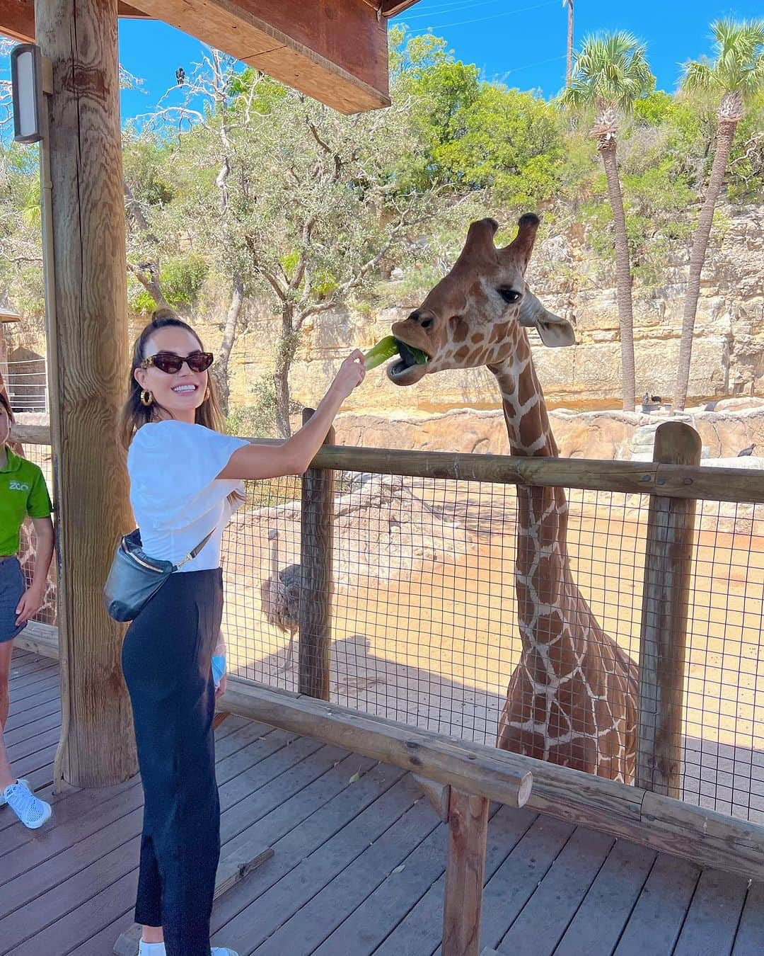 Elizabeth Chambers Hammerさんのインスタグラム写真 - (Elizabeth Chambers HammerInstagram)「summer jobs, child labor, and the @sanantoniozoo. and masks bc hippos are highly susceptible to COVID. who knewww?! 📍 @birdbakery San Antonio @birdbakery Dallas」9月27日 0時53分 - elizabethchambers