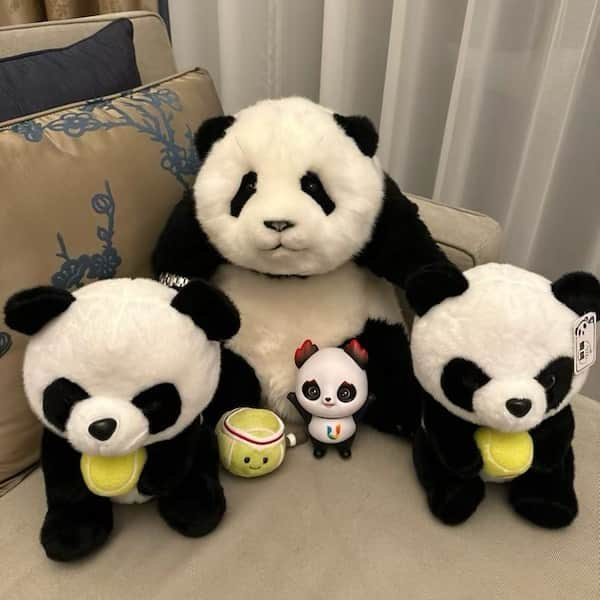 アレクサンダー・ズベレフさんのインスタグラム写真 - (アレクサンダー・ズベレフInstagram)「4 baby pandas and a trophy 🐼🏆💥 Couldn’t have been a better week! Thank you Chengdu!🤝🏽🎾🇨🇳  📸: @chengduopentennis   #21 #Title #ATPTour #ATP250 #Chengdu #Champion #Tennis #Pandas」9月27日 2時07分 - alexzverev123