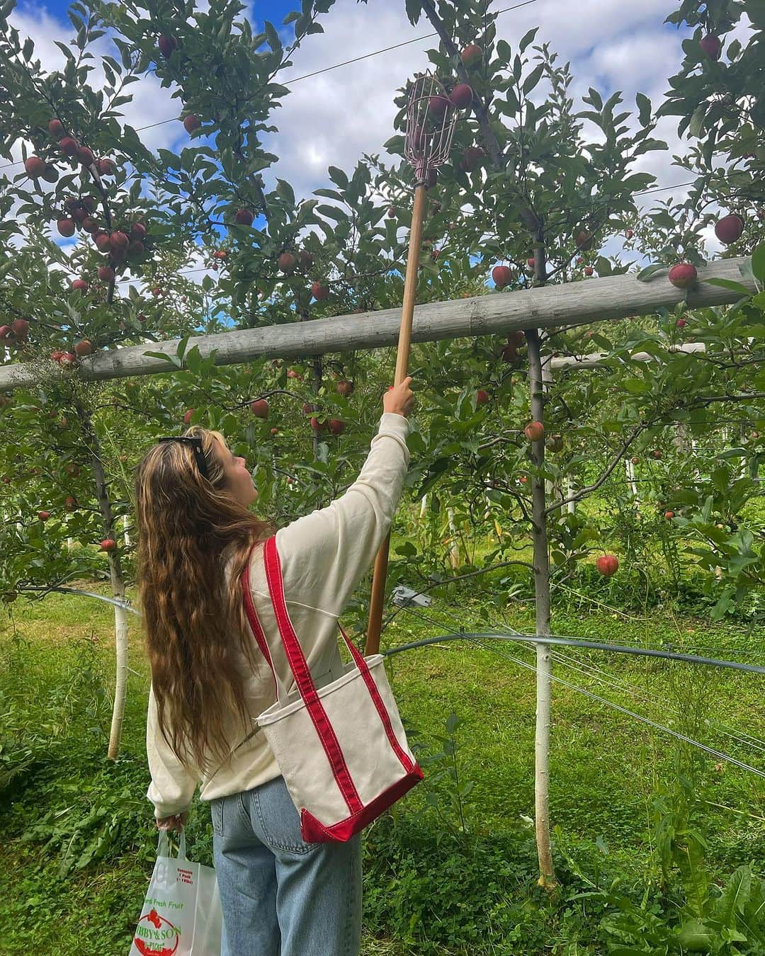 G・ハネリウスのインスタグラム：「🍎😙⭐️🎃🍂」