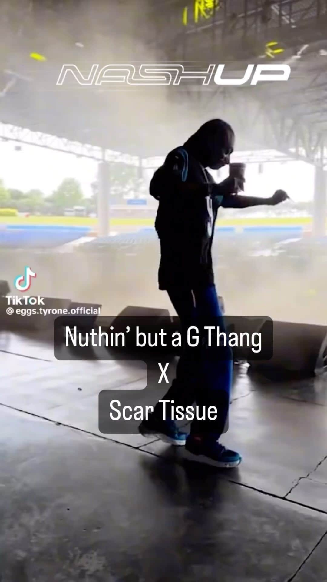 ナッシュ・オーバーストリートのインスタグラム：「When @snoopdogg vibin’ part 2🔥 #nuthinbutagthang #snoopdogg #mashup with #redhotchilipeppers #scartissue」