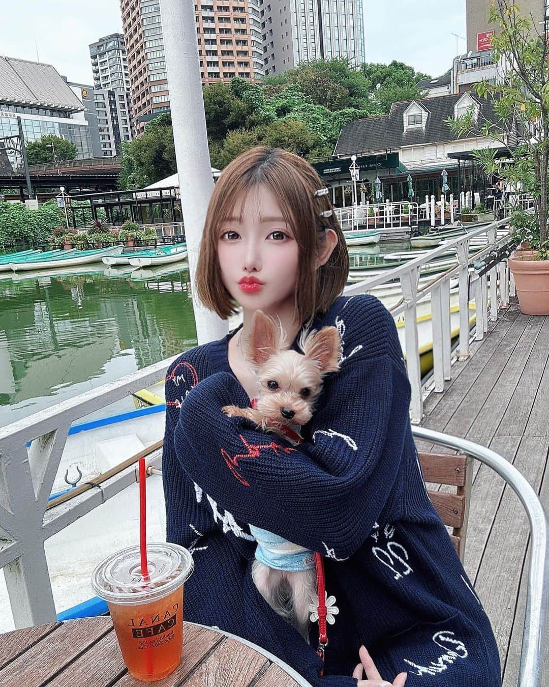 明日花リナのインスタグラム：「うちのおちび🌼1.2キロ ヴィちゃん3歳のお誕生日おめでとう🐶🌷 だいすき❣️ ずーっと長生きしてほしいな🥰  みんなでドックカフェでご飯食べたり🍕🧁 池の鯉に餌やりしたり癒されました✨  #カナルカフェ#神楽坂#canalcafe#dogcafe#dog  #darich#graff #harrywinston」