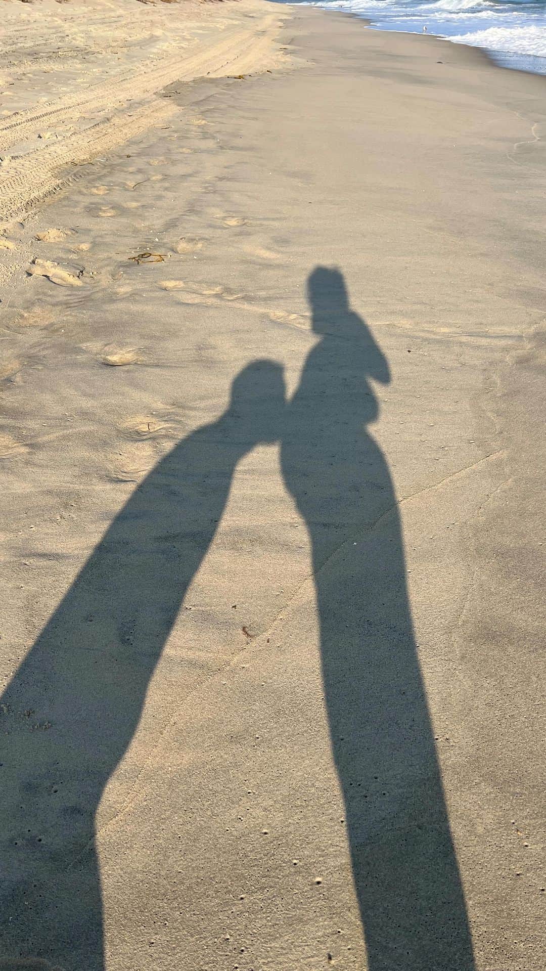 アシュリー・ワグナーのインスタグラム：「✨thankful panic✨ brought to you by a pregnant person  • • • • • • #pregnancy #pregnant #baby #maternity #babybump #love #motherhood #momlife #maternityphotography #mom #momtobe #family #babyboy #babygirl #preggo #newborn #photography #babyshower #maternityshoot #pregnantbelly #babies #maternityfashion #fitness #postpartum #mommytobe #mother #mama #instagood #birth #breastfeeding」