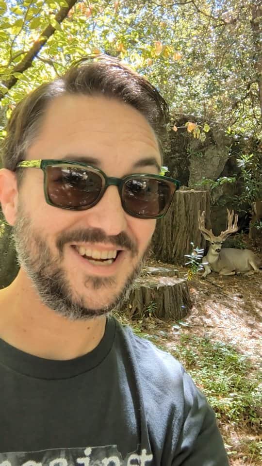 ウィル・ウィトンのインスタグラム：「Oh deer.」