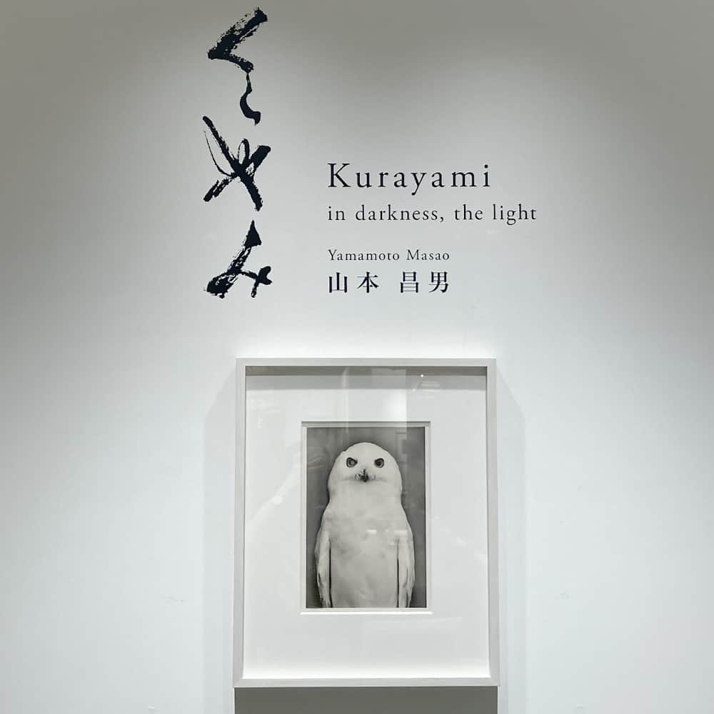 銀座 蔦屋書店さんのインスタグラム写真 - (銀座 蔦屋書店Instagram)「山本昌男作品展 「くらやみ Kurayami – In Darkness, the Light」  写真家・山本昌男の作品展「くらやみ Kurayami – In Darkness, the Light」を2023年9月26日（火）から10月16日（月）の期間に店内GINZA ART SQUAREにて開催します。今年7月に刊行した作品集で発表された作品のオリジナルプリント（ゼラチンシルバープリント）、越前和紙ピエゾグラフィーまた都内初展示となるガラス湿板作品も合わせて展示します。  ⾃然の神秘性を追求し、⼈と⾃然が⽣み出す究極の美に挑み続ける写真家・⼭本昌男。繊細で詩的な写真作品ンスタレーションが国際的に⾼く評価されており、簡潔で巧みな構図と⽇常に潜む美に焦点を当てた作品は、最⼩限の要素で無限の解釈をうみだす俳句に例えられることがあります。それらの作品は、東京都写真美術館のほかヨーロッパ写真美術館など欧米でも展示され、カナダ国立美術館、イェール大学美術館、ヴィクトリア&アルバート博物館といった名だたる施設に収蔵されています。今年の7月、作品集『Kurayami』が山本と音楽家・内田輝とのコラボレーション2作目として、フランスの iikki booksより出版されました。本展では、『Kurayami』で発表された作品群を、同作品集と過去に出版された山本の希少本と共に展示します。独自のトーニング技法を駆使したアナログなプロセスで制作されたゼラチンシルバープリント作品のほか、都内では初展示となる“コロジオンプロセス”と呼ばれるガラス湿板作品４点も展示します。  [アーティストプロフィール] 山本昌男／Yamamoto Masao 16歳より写真を撮り始め、絵画の勉強を経たのち、写真技法（主にゼラチンシルバープリント）による作品発表に至る。94年サンフランシスコでの展示を皮切りにアメリカ市場での発表が続き、96年Yancey Richardson Gallery, NYでの個展開催。06年よりヨーロッパに於いても活発な展示活動を開始。欧米日本のみならず、モスクワ、サンパウロでも美術館や画廊にて展示開催。NYタイムス他アート雑誌などのメディアにも多数掲載。 山梨県の八ヶ岳南麓に在住し、自然に囲まれた環境にて制作活動を続けている。 Web site：http://www.yamamotomasao.com  【展覧会歴】 2023 “AMBROTYPES ”Yancey Richardson Gallery, New York “Tomosu” Gallery Albert Baumgarten, Freiburg, Germany “New Works ” Jackson Fine Art, Atranta GA “Tomosu” Fifty one Gallery, Antwerpen “New Works ” Craig Krull Gallery, Santa Monica,LA 2022 “La vie simple” Galerie Stefan Vogdt, München 2021 “Un monde dans la main” Galerie Camera Obscura, Paris “Son Album” La Fabrique du Pont d’Aleyrac, Ardeche France “Yamamoto Masao” Musée Mallarmé, Paris “Bonsai” PDX Contemporary Art, Portland, OR 2019 “Itteki” Yancey Richardson Gallery, NY “Yamamoto Masao” Kiyosato photo Art Museum, Yamanashi Japan “Bonsai” Galerie Baumgarten, Freiburg Germany “Bonsai” Robert Koch Gallery, SF “Bonsai” Jackson Fine Art, Atlanta GA “Bonsai” Mizuma Art Gallery, Tokyo その他の経歴は詳細ページをご覧ください。  ▶詳細はこちら https://store.tsite.jp/ginza/blog/art/35937-1654010915.html  ▶OIL by　美術手帖 https://oil.bijutsutecho.com/artist/629  @mizumaartgallery @ginzatsutayabooks_photofashion #山本昌男 #masaoyamamoto #写真 #フォトグラファー #photo #photography #photograph #photographer #subculture #gsix #ginzasix #銀座 #蔦屋書店 #ginza #銀座蔦屋書店 #ginzatsutayabooks #tsutayabooks」9月27日 16時38分 - ginza_tsutayabooks